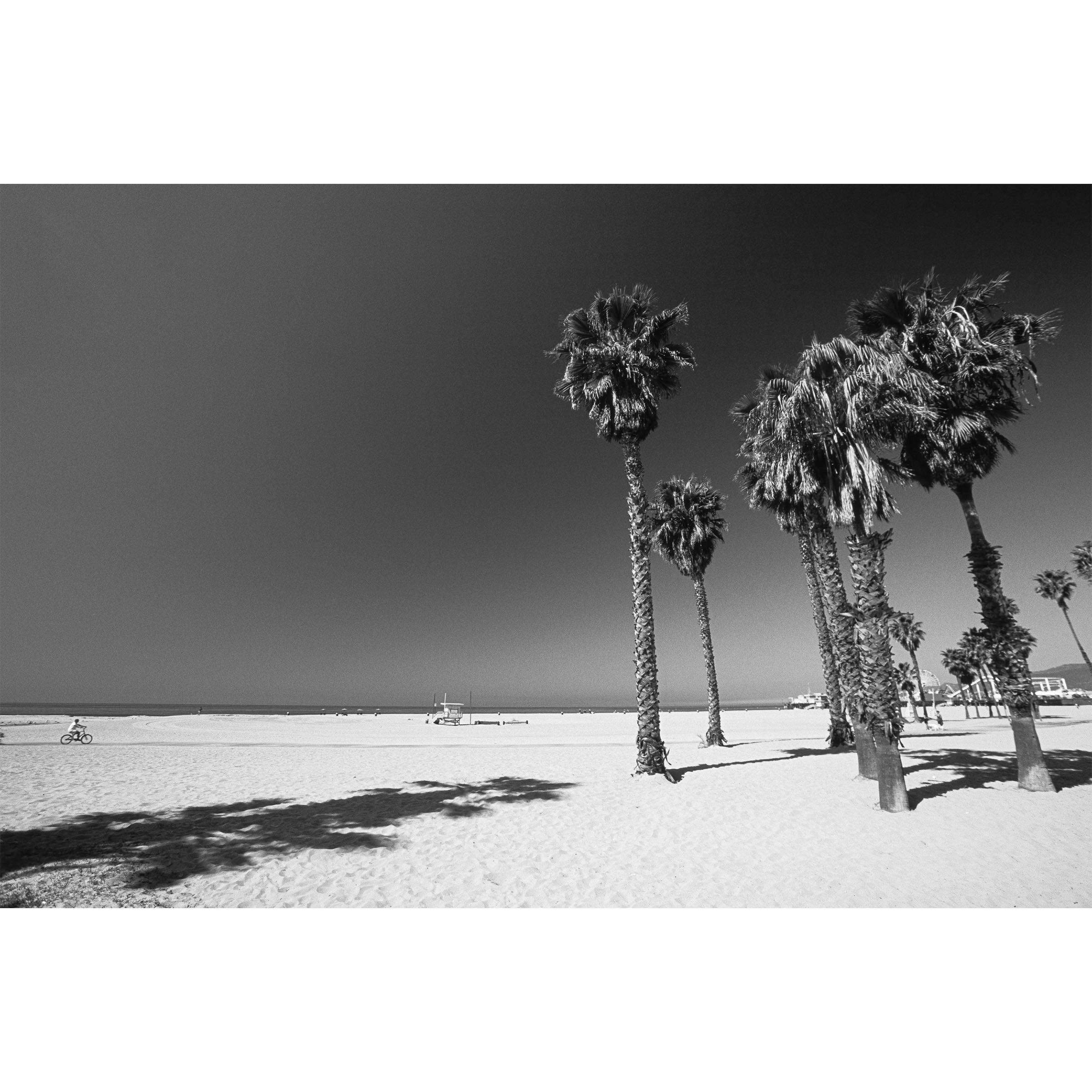 VENICE BEACH - Los Angeles, USA