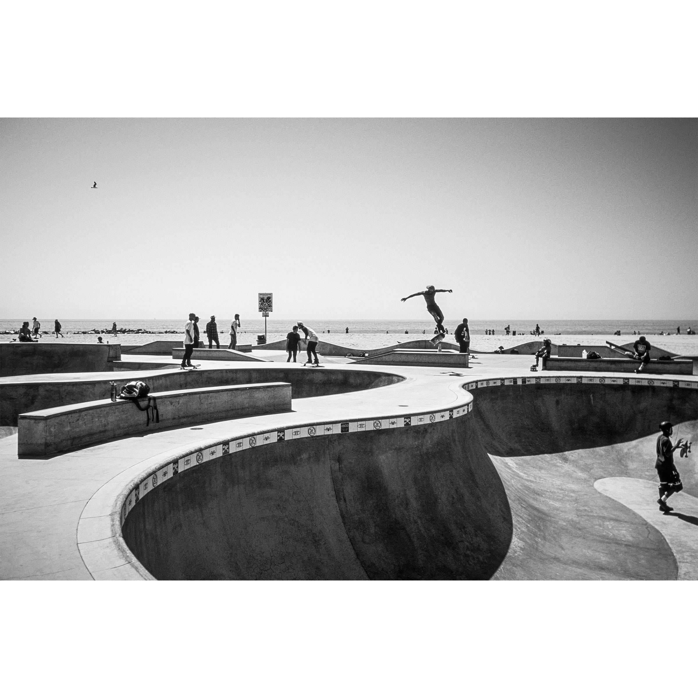 Venice Skatepark - Los Angeles, USA
