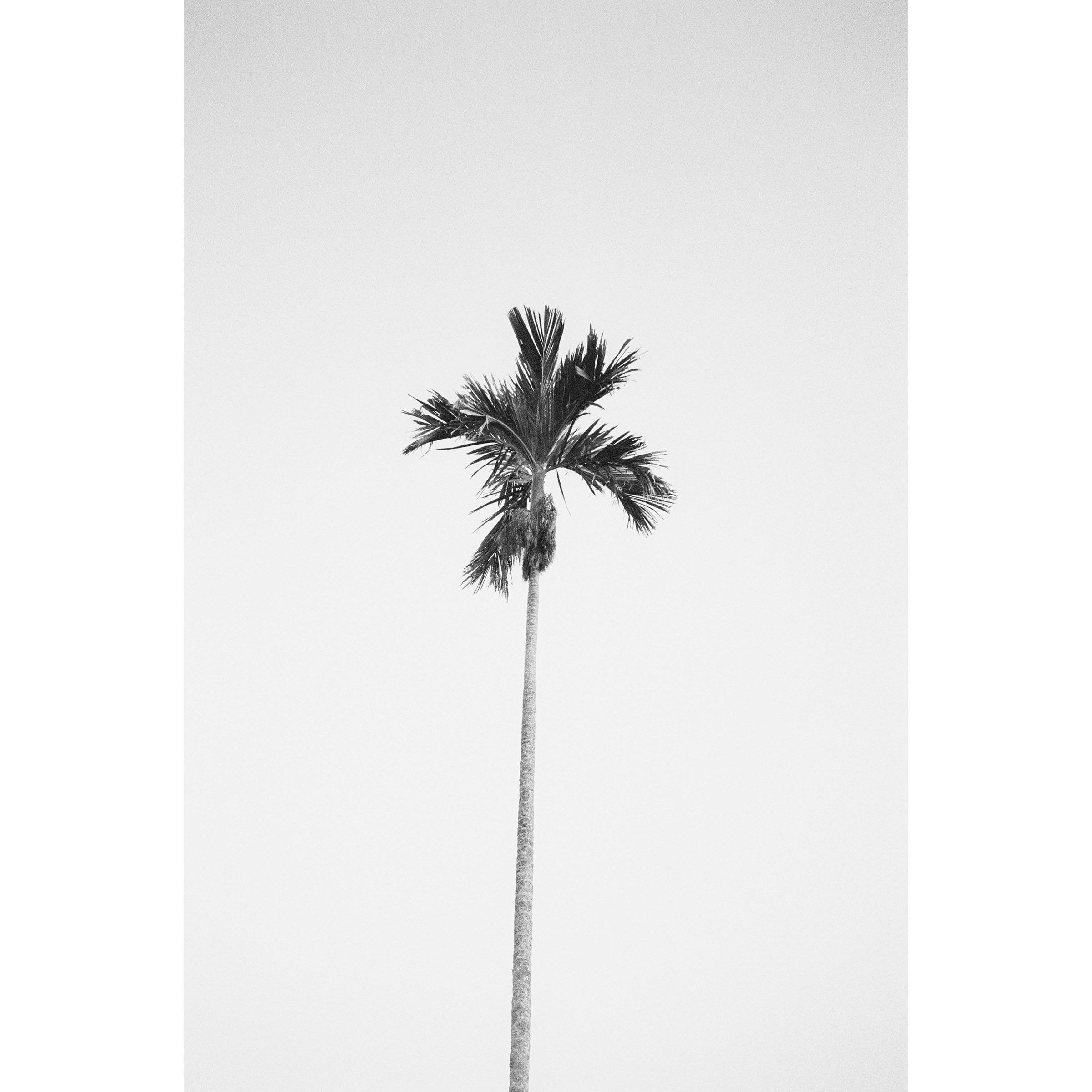 LAZY DAYS - Bali, Indonesia