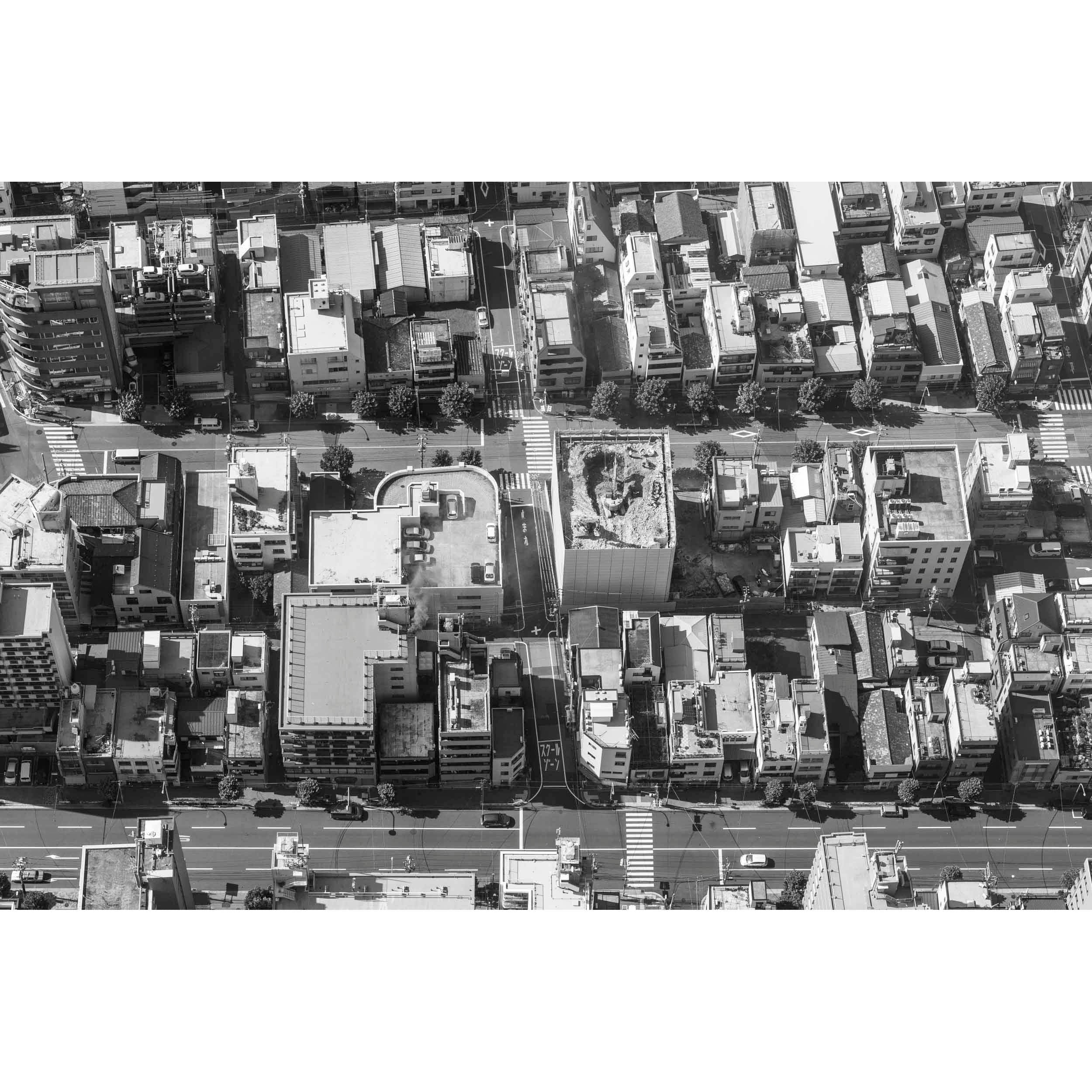 Bird's Eye View - Tokyo, Japan