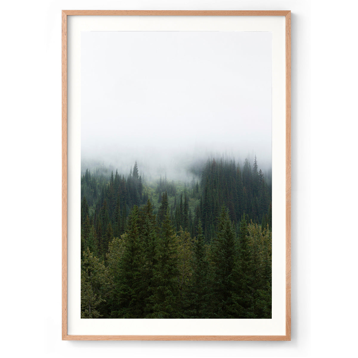 Cloud Cover - Rocky Mountains, Canada