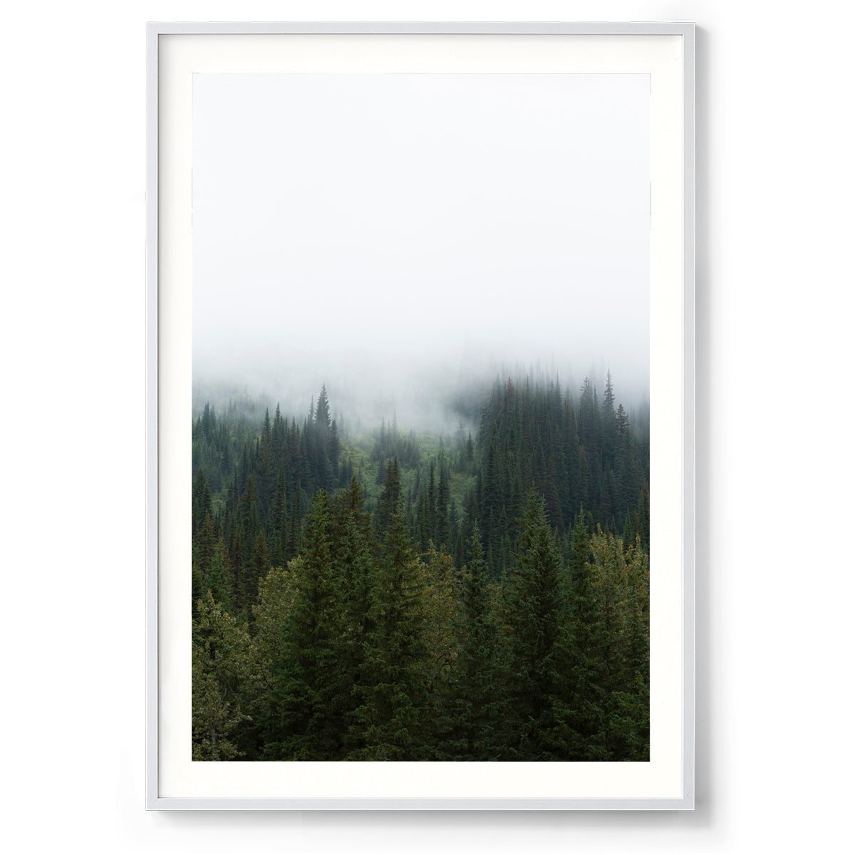 Cloud Cover - Rocky Mountains, Canada