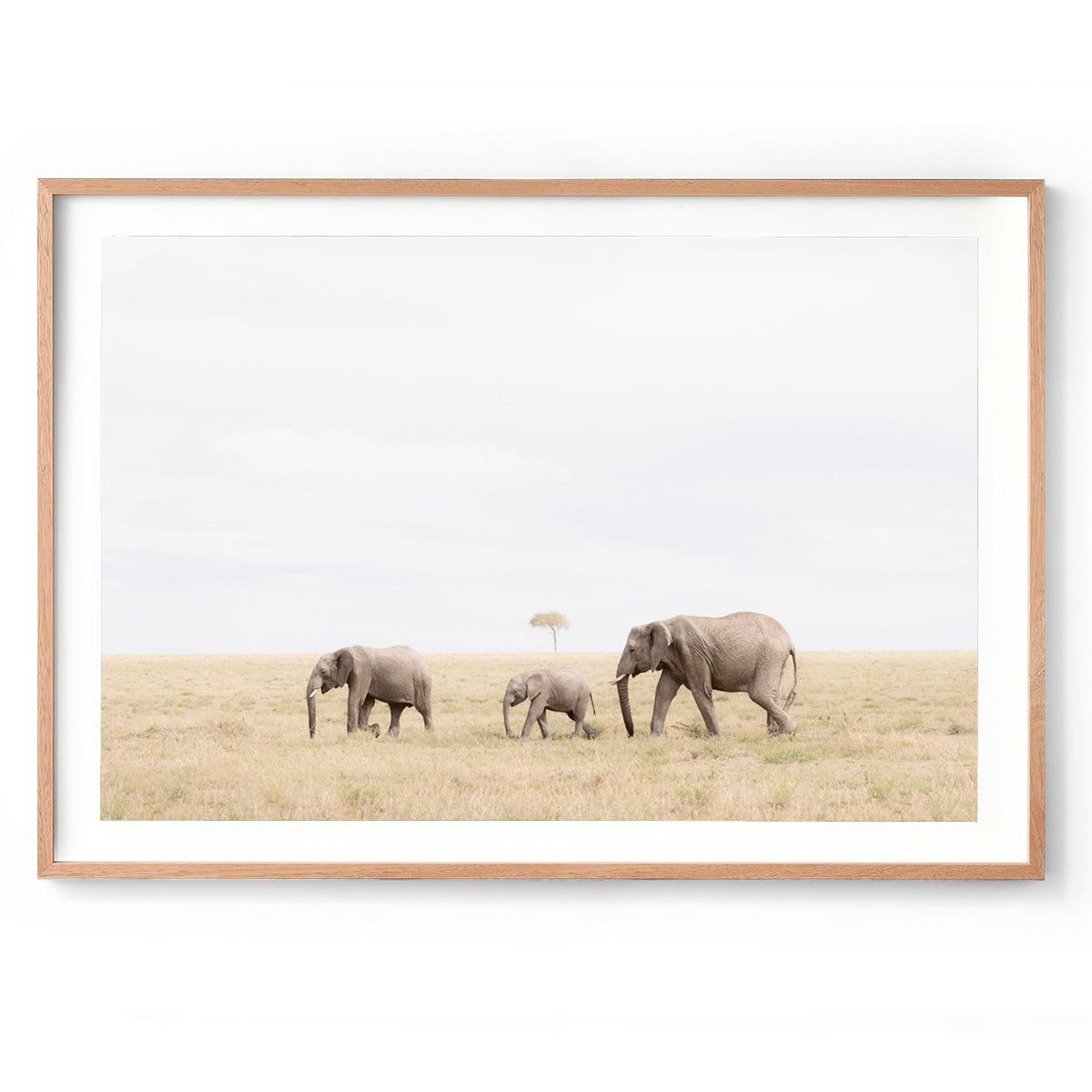 Family Ties - Kenya, Africa