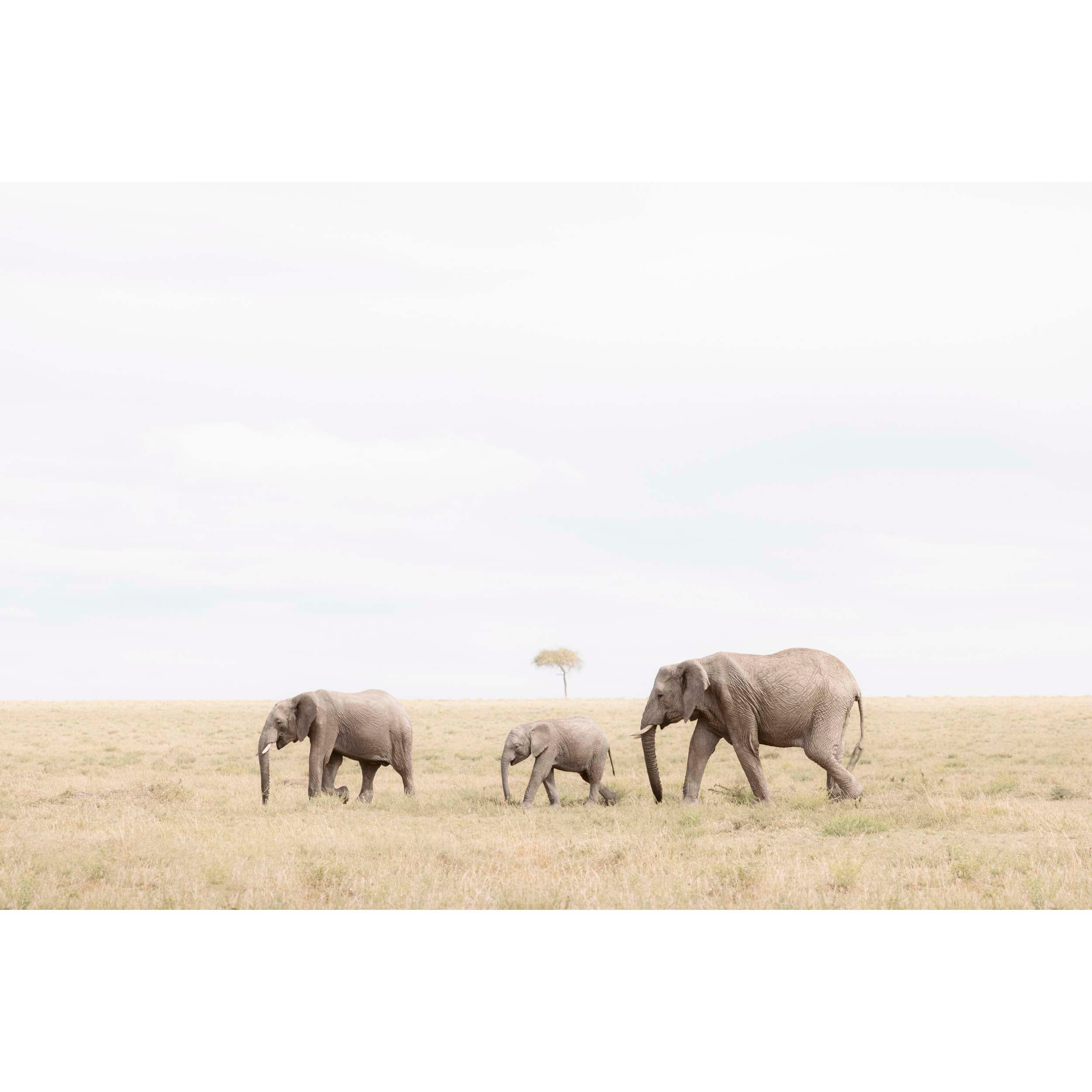 FAMILY TIES - Kenya, Africa