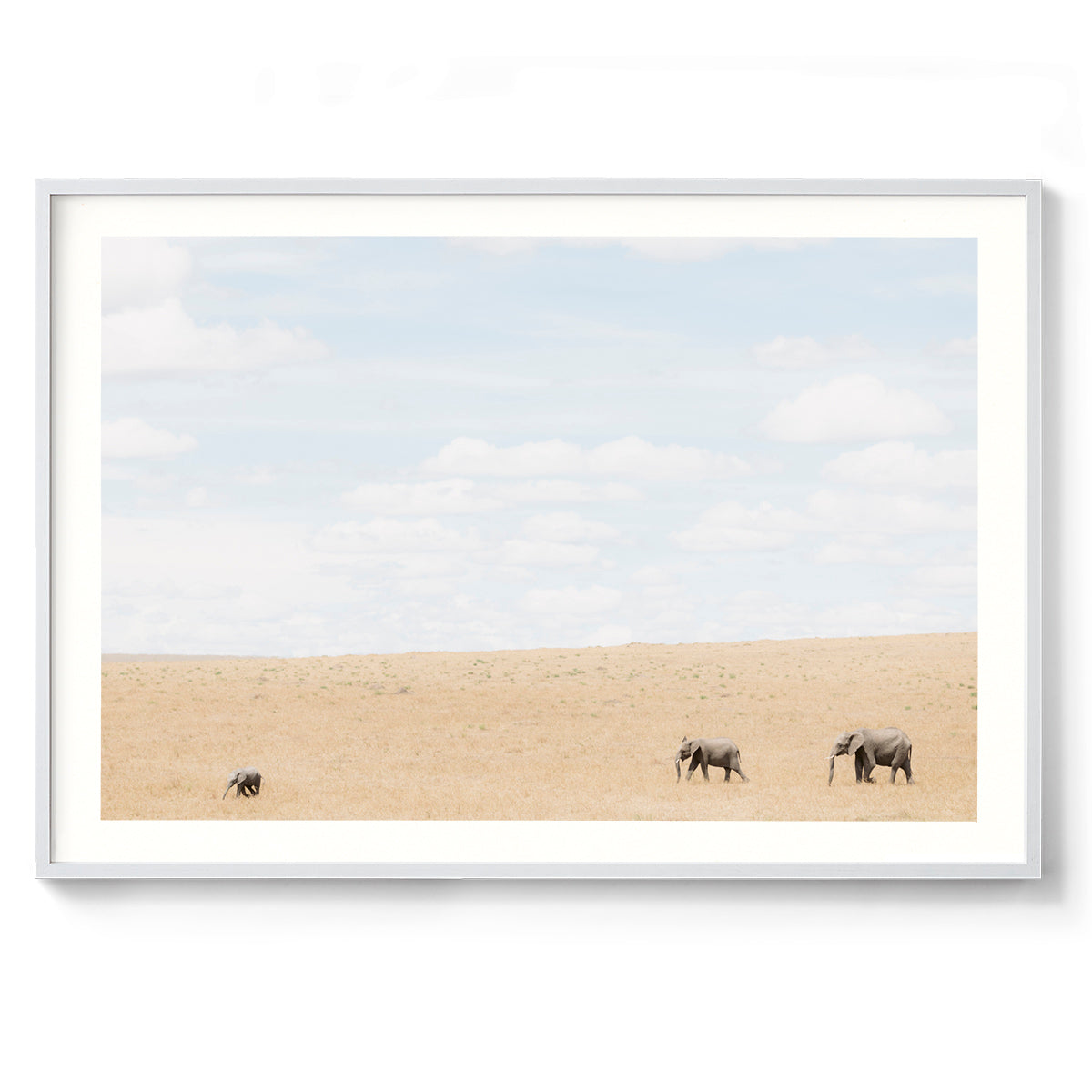 Follow the Leader - Kenya, Africa