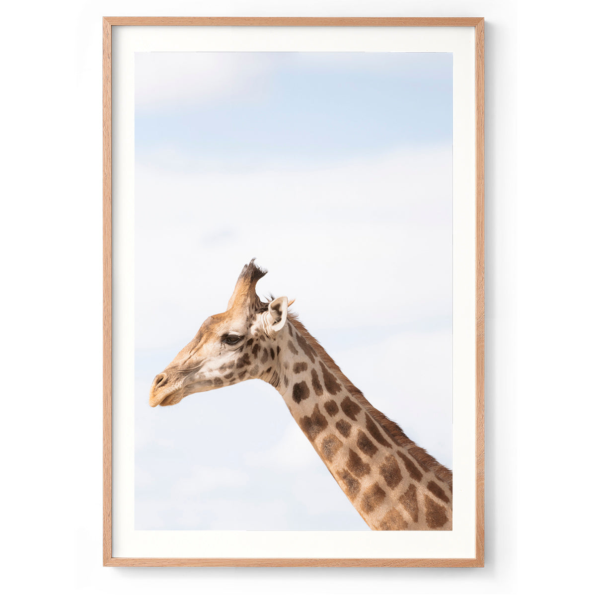 Head in the Clouds - Kenya, Africa