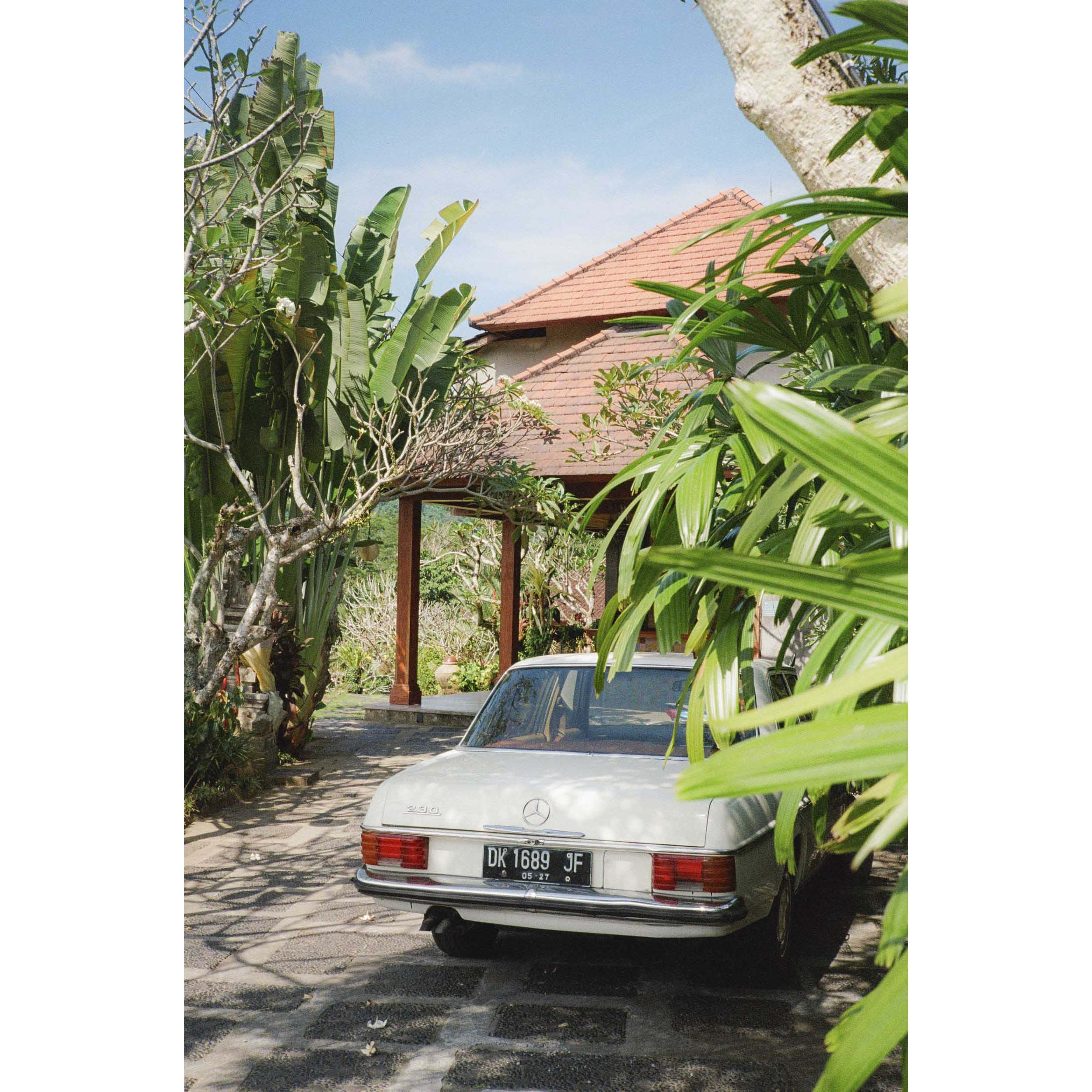 HIDE & SEEK - Bali, Indonesia