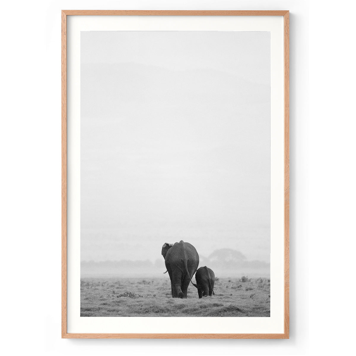 Into the Wild - Kenya, Africa