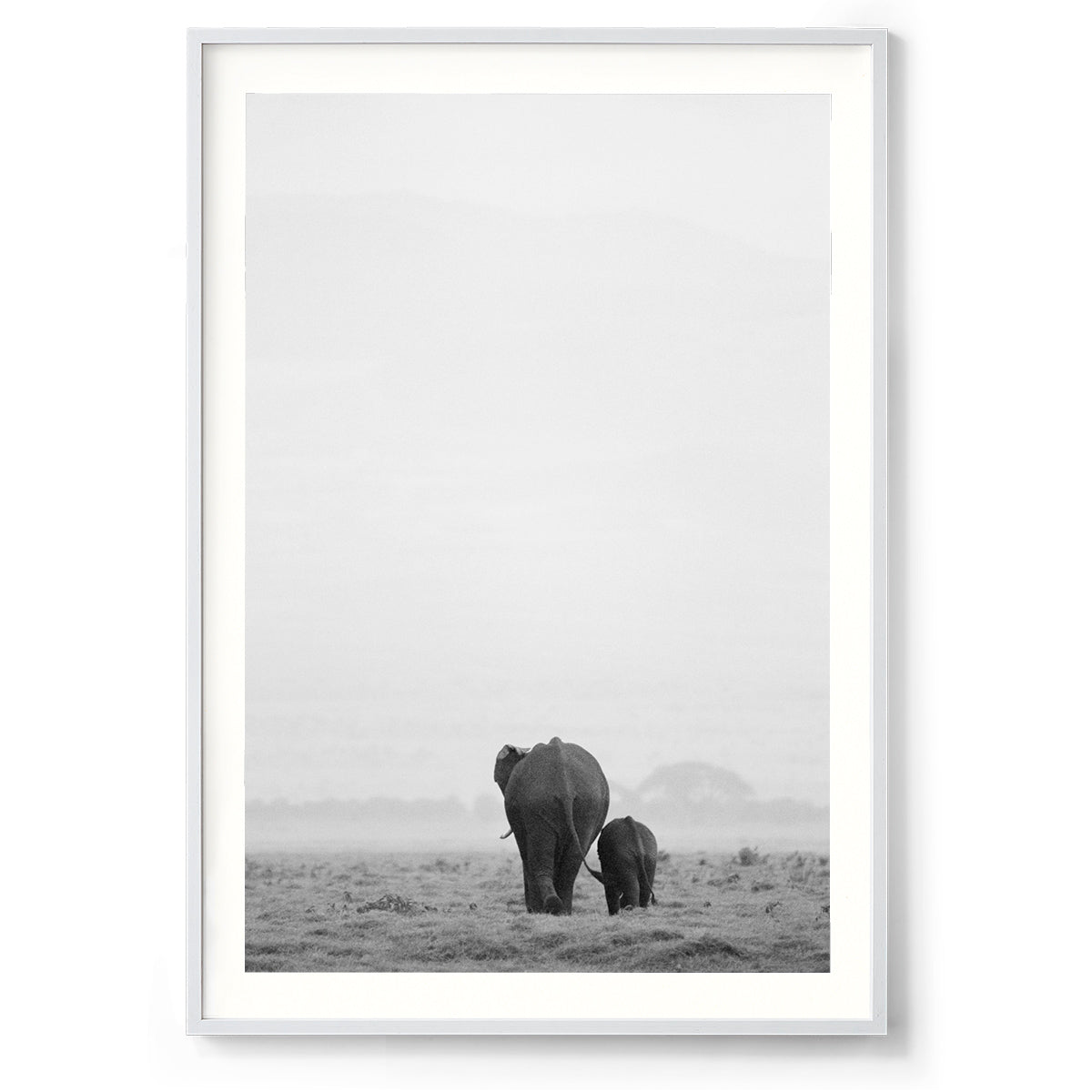 Into the Wild - Kenya, Africa