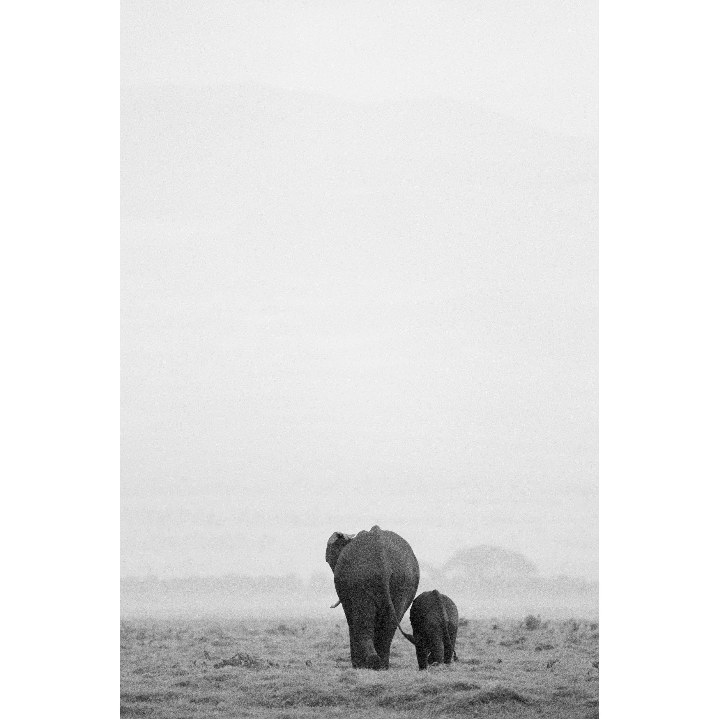 INTO THE WILD - Kenya, Africa