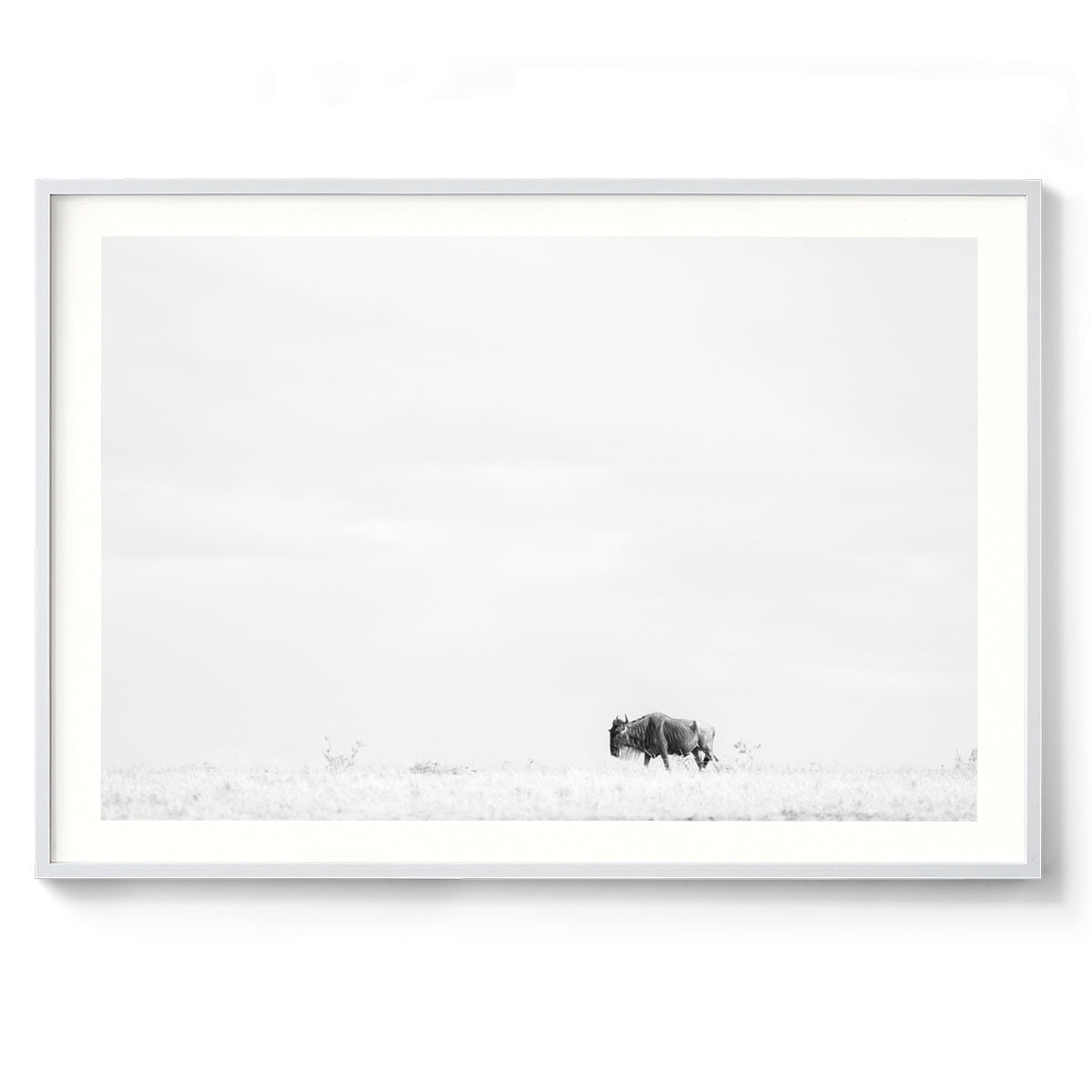 Lone Wanderer - Kenya, Africa
