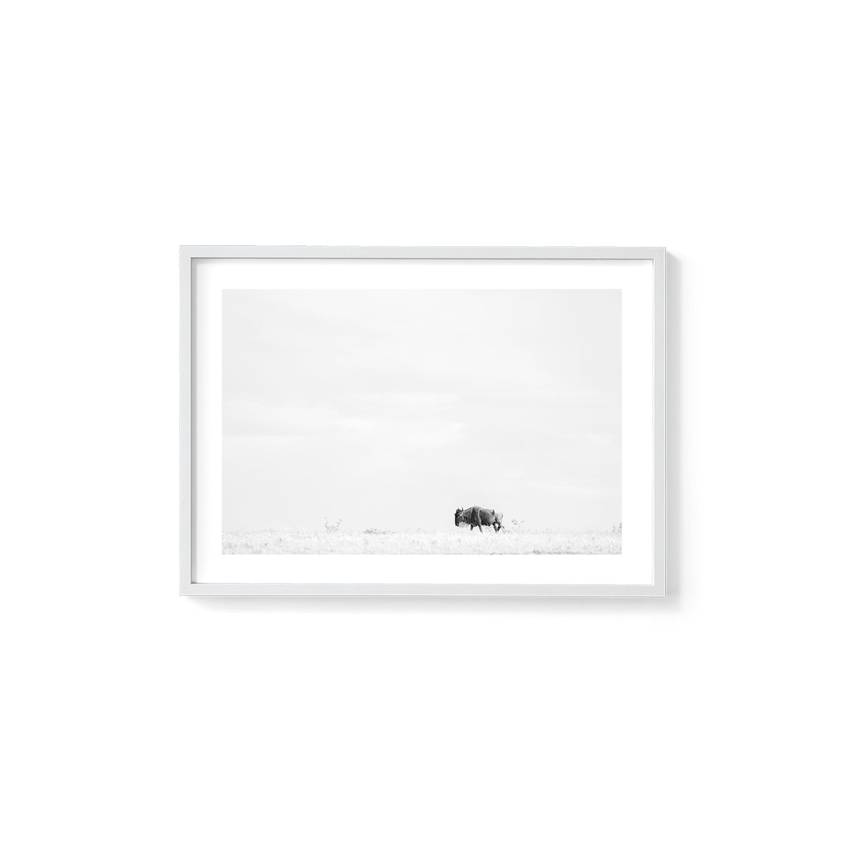 #colour_white