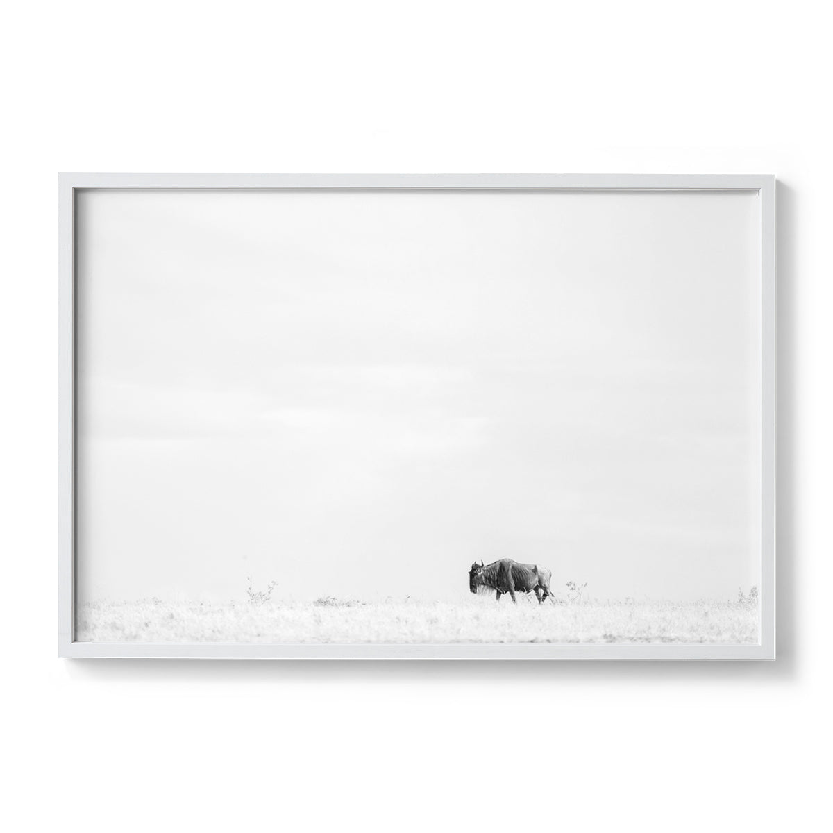 #colour_white