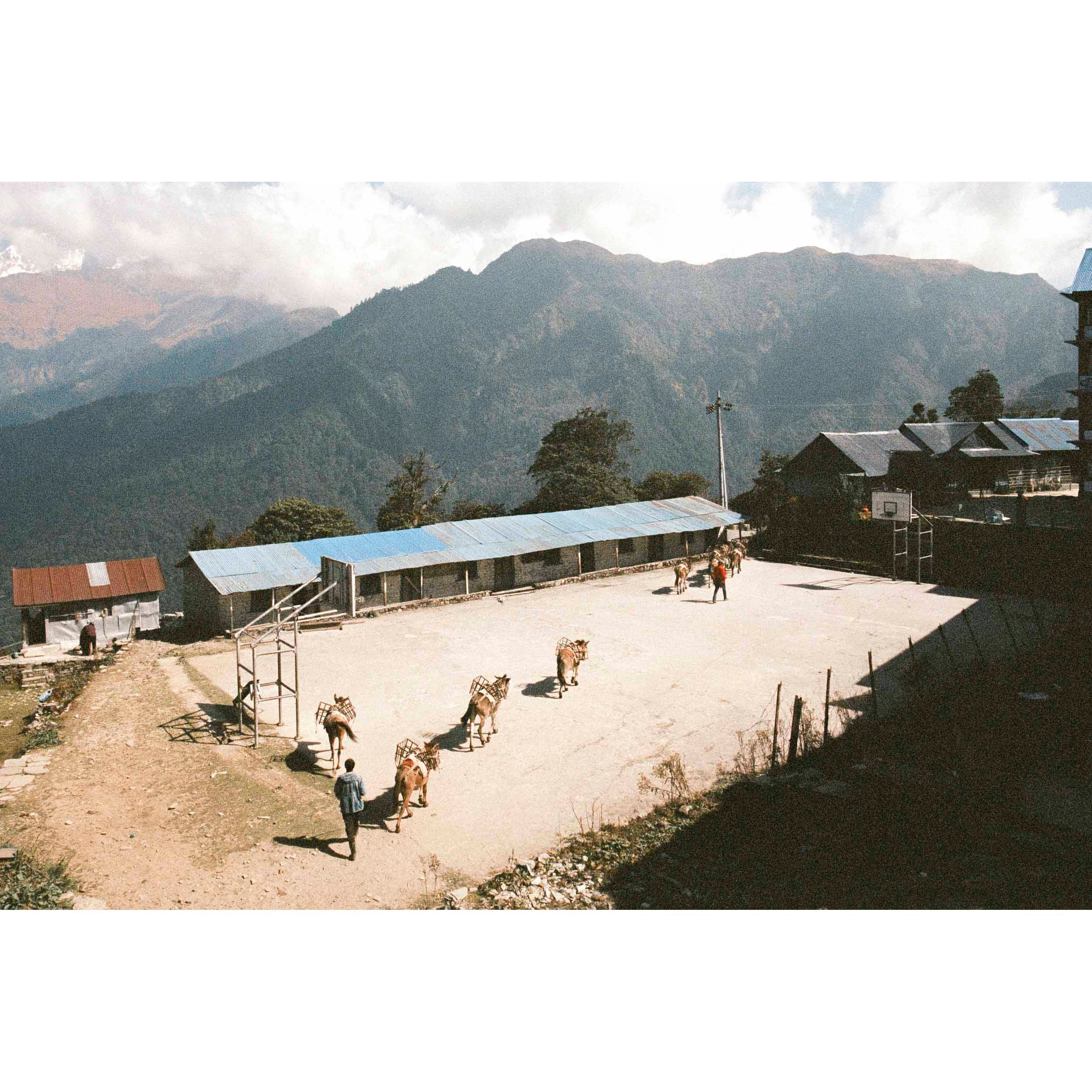 MOUNTAIN DUTIES - Ghorepani, Nepal