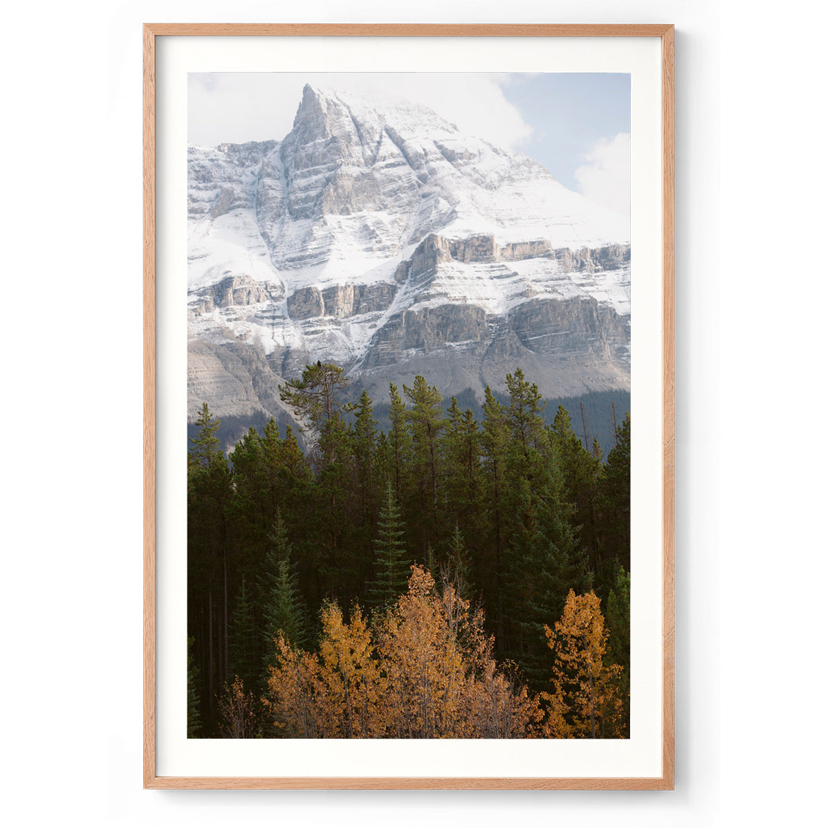 Nature's Palette - Rocky Mountains, Canada