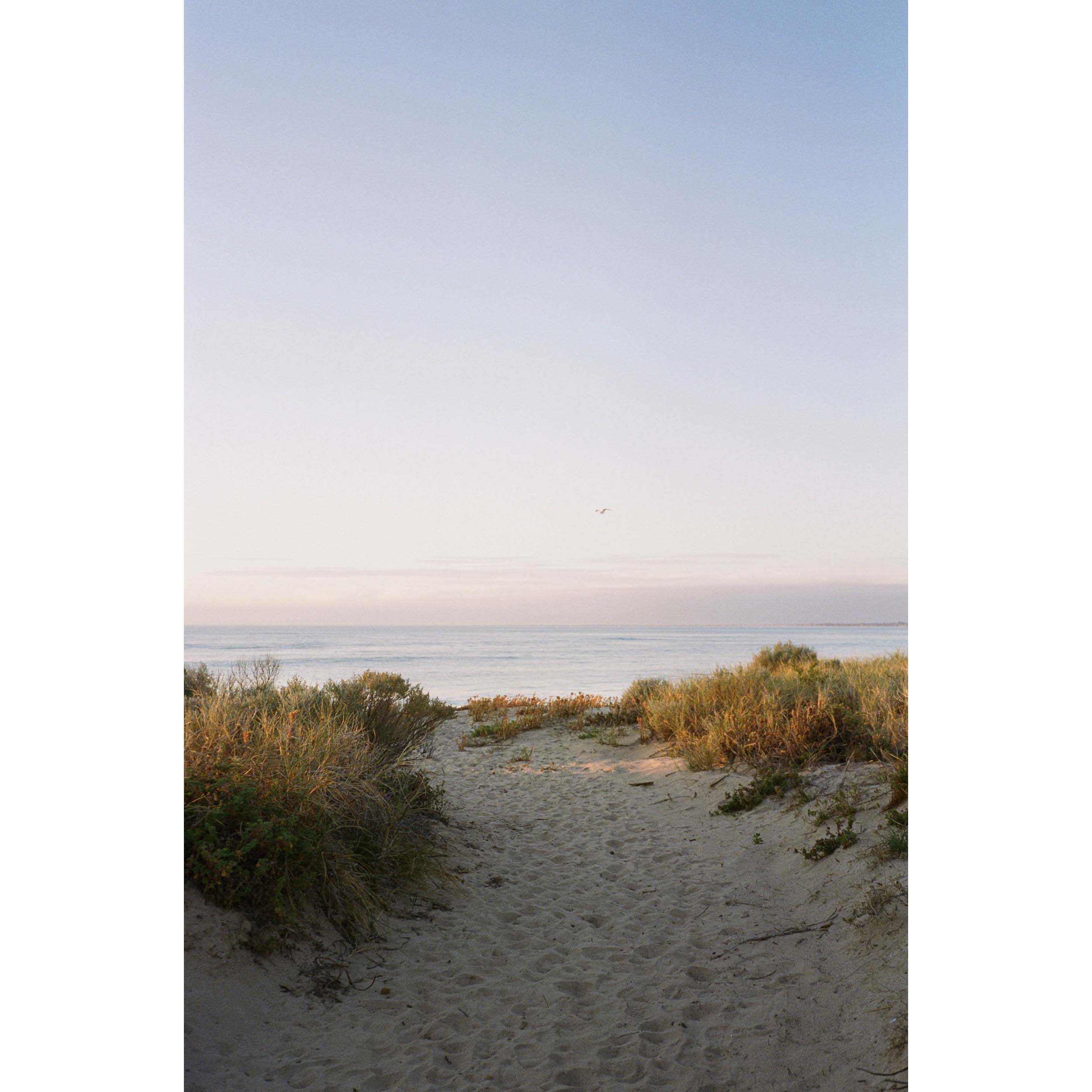 Vertical photo of a beach sand path leading towards the ocean. Shot at sunset on film with a beautiful soft blue and purple sky. Original fine art photography, available as prints and framed wall art. Perfect for the minimalist coastal home or beach house.