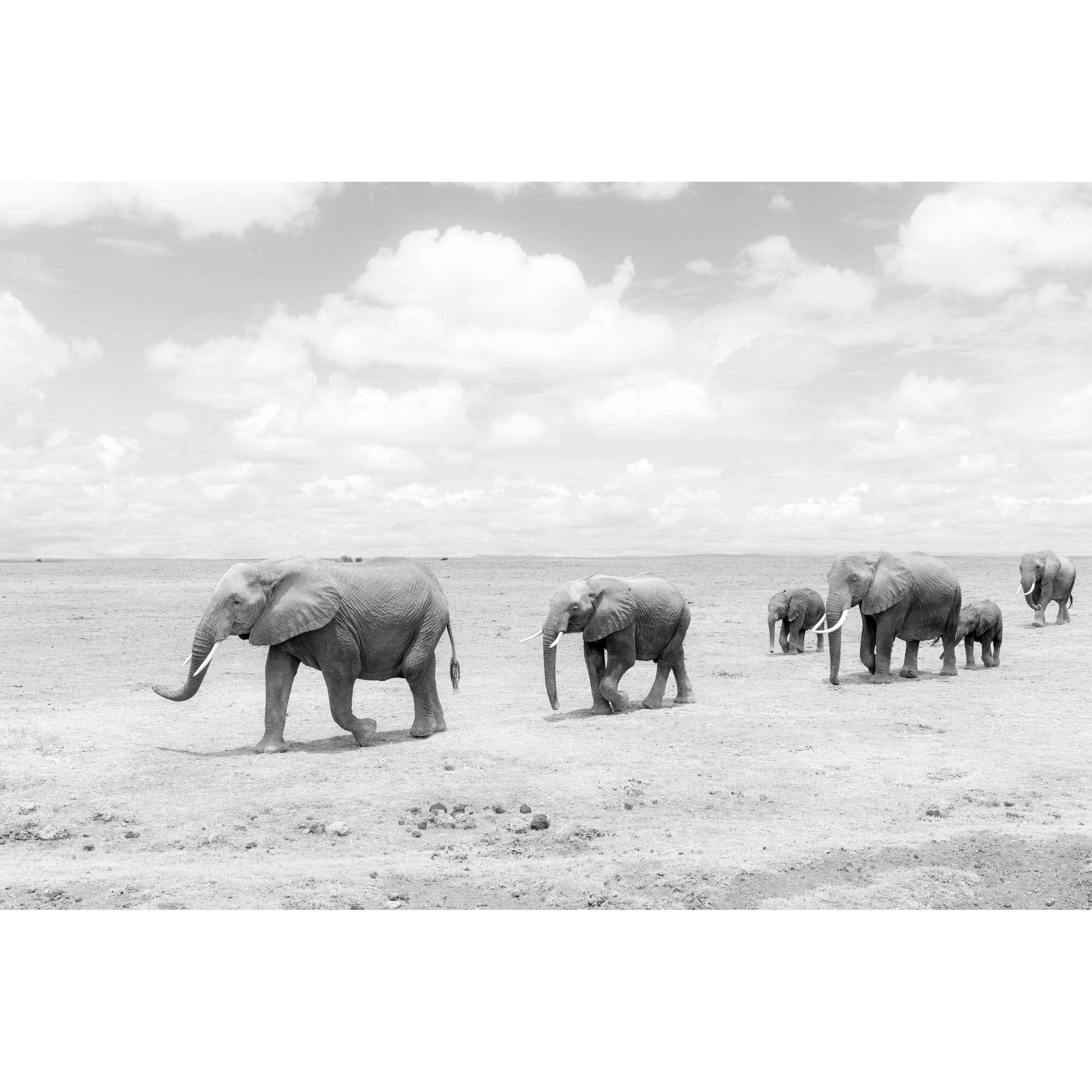 Pilgrimage - Kenya, Africa