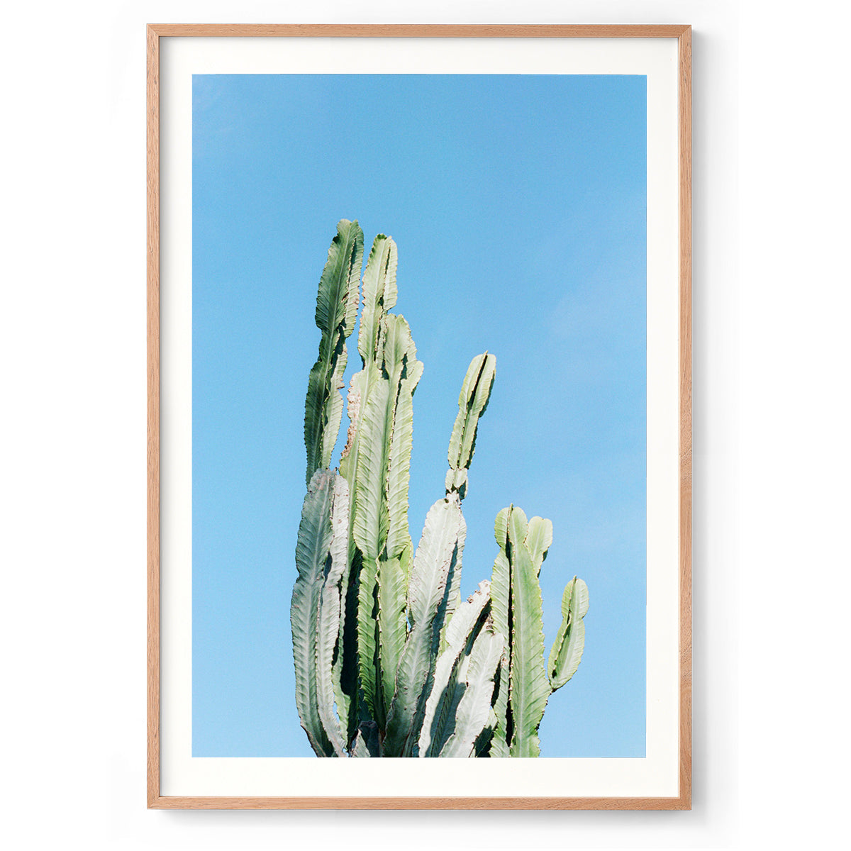Prickles