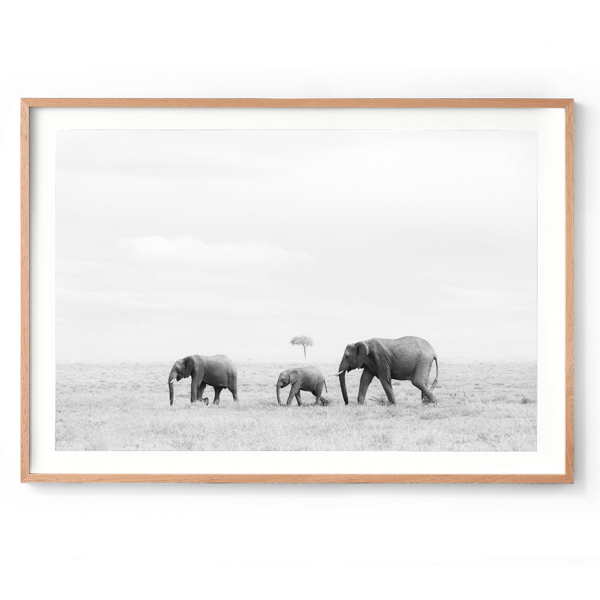 Rhythm of Life - Kenya, Africa