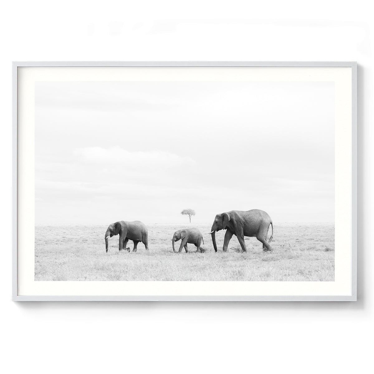 Rhythm of Life - Kenya, Africa