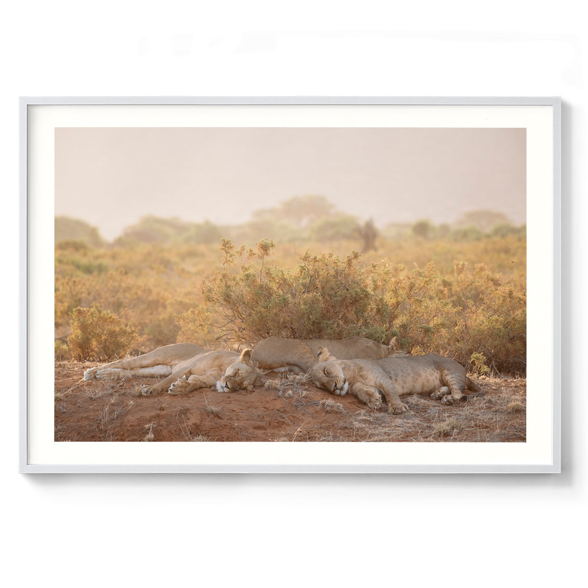 #colour_white