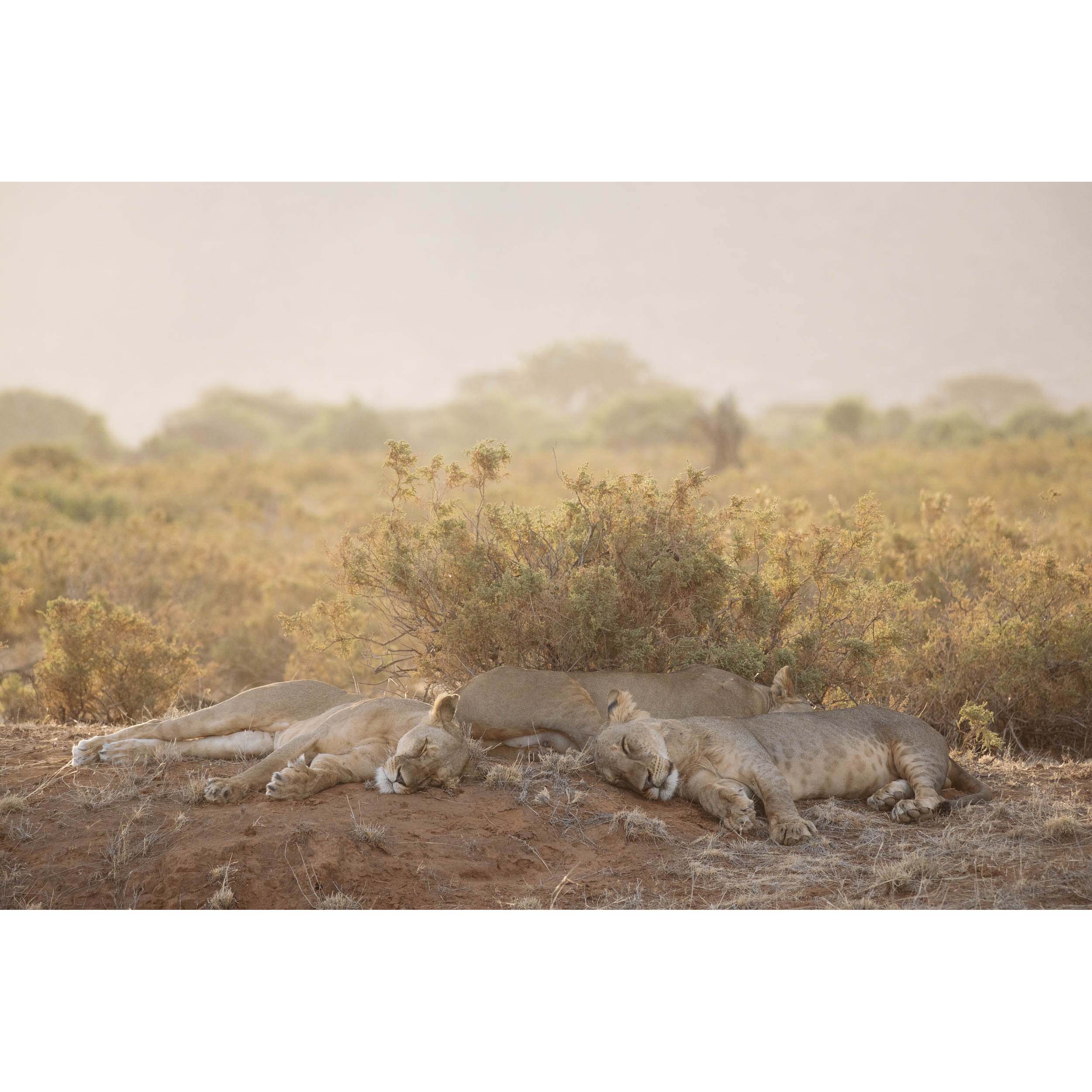 Sisterhood - Kenya, Africa