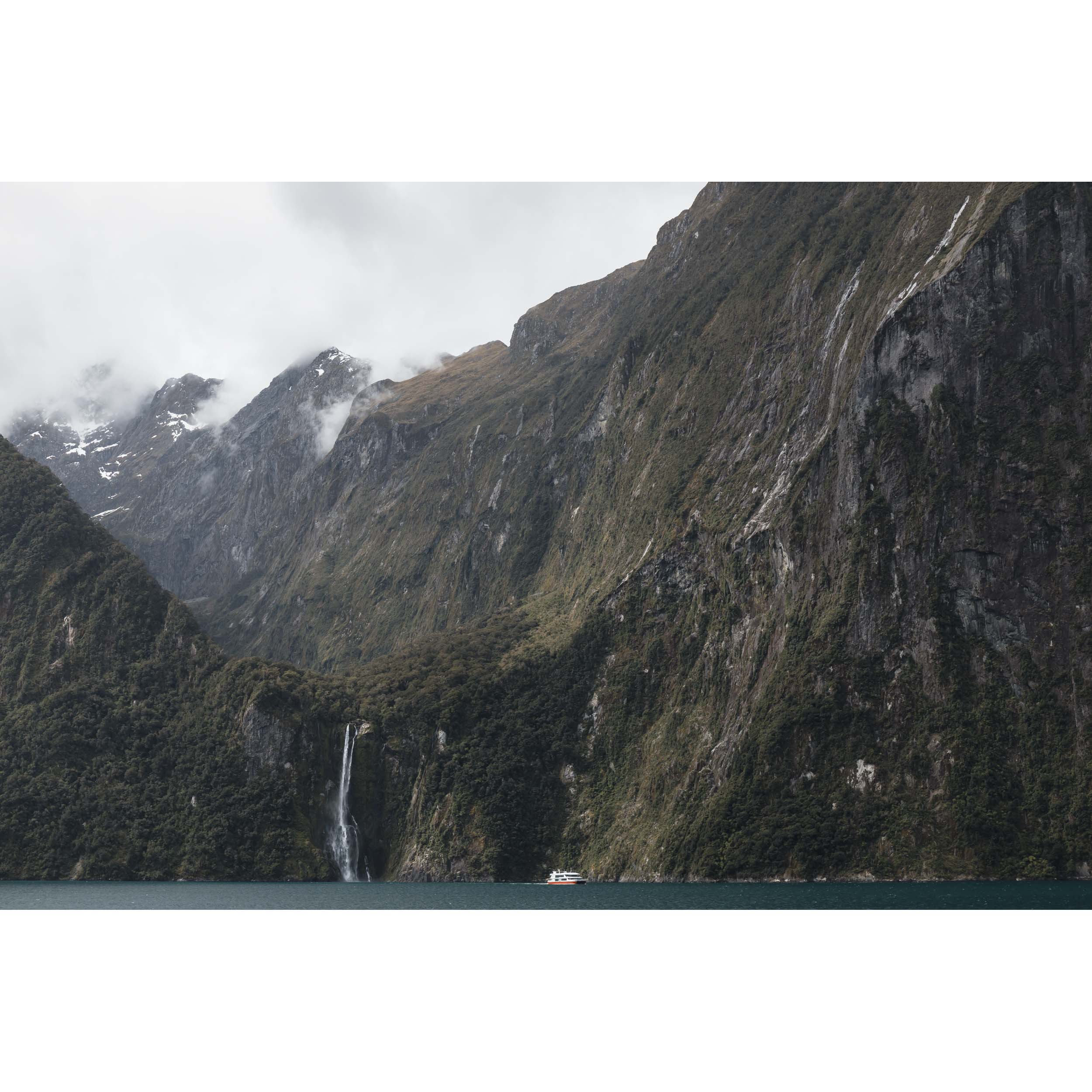 SMALL FISH, BIG POND - Milford Sound, New Zealand