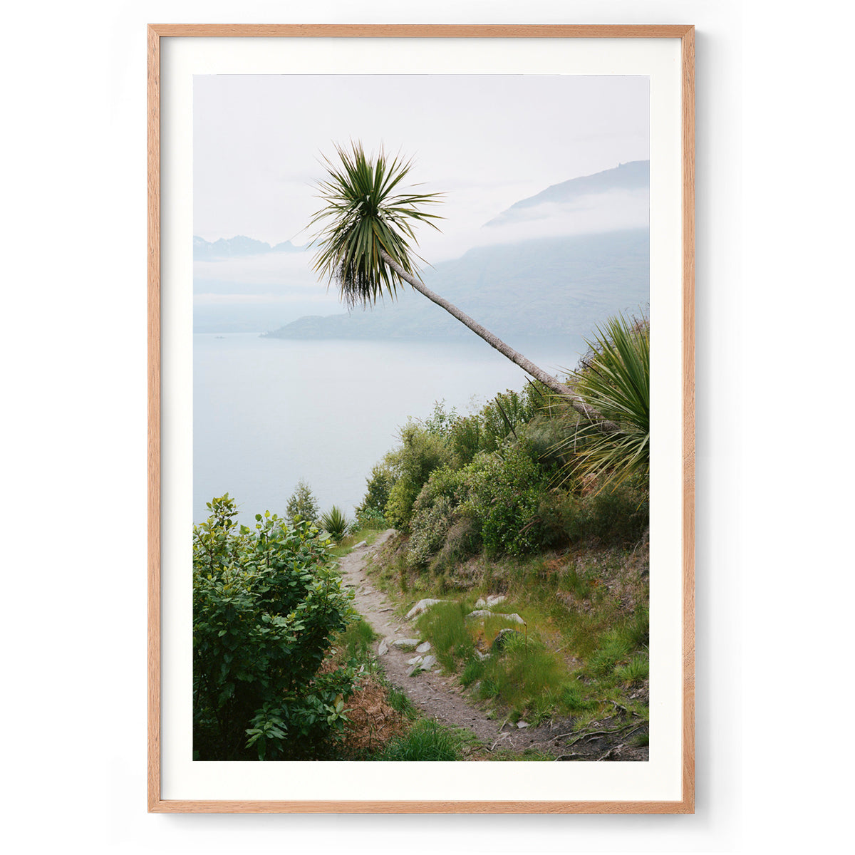 Solitude - New Zealand