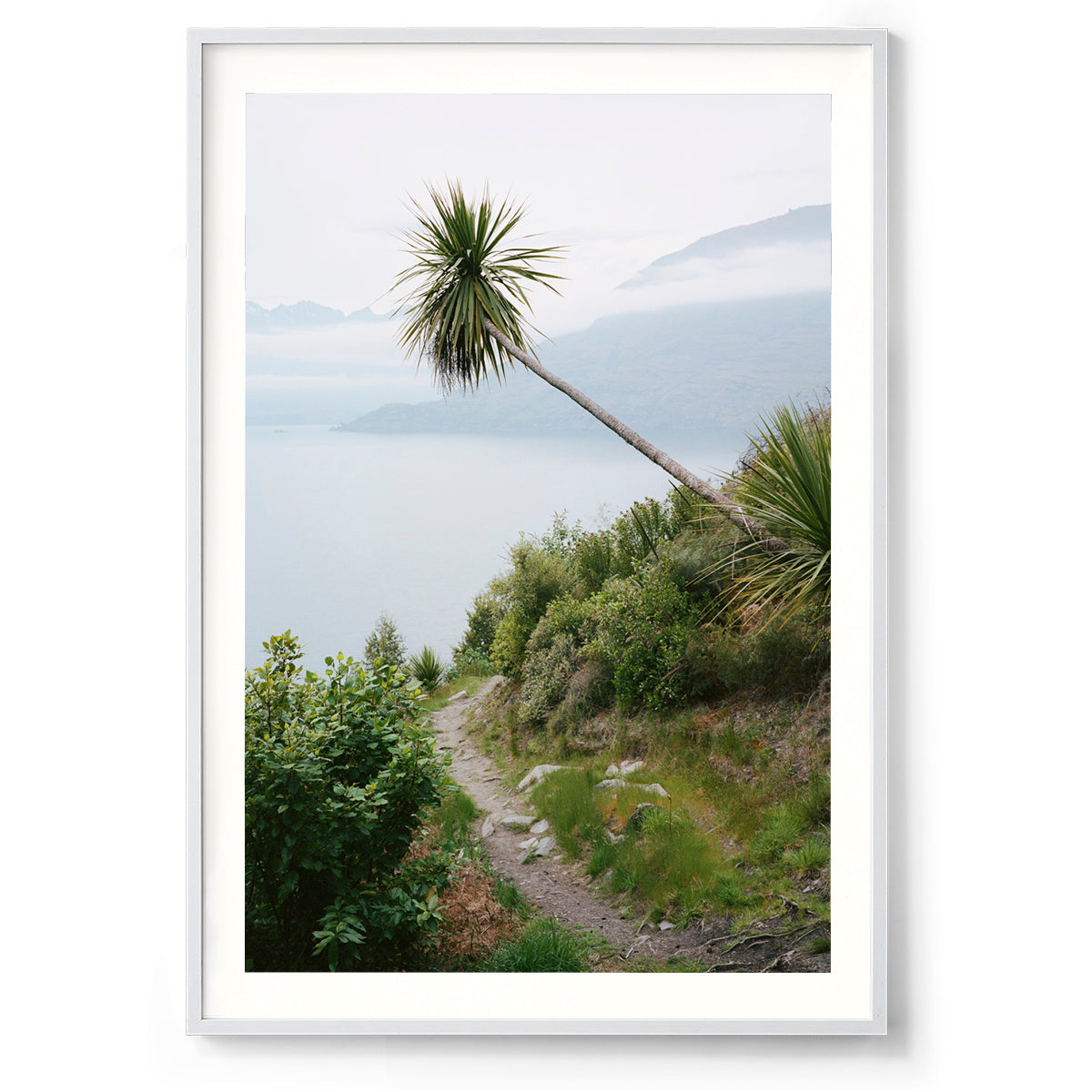 Solitude - New Zealand