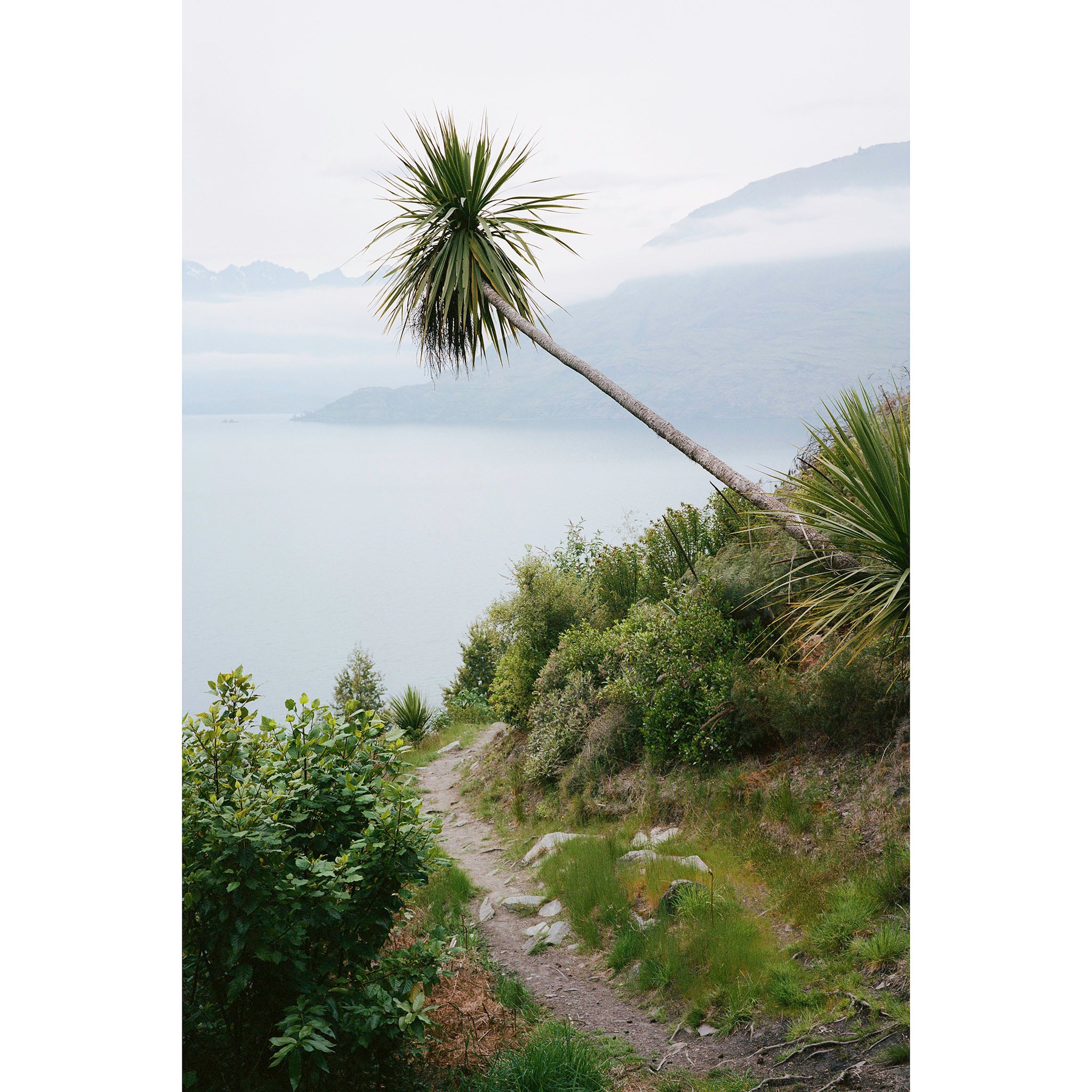 SOLITUDE - New Zealand