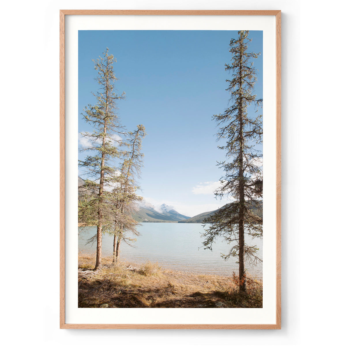 Spring Has Sprung - Rocky Mountains, Canada