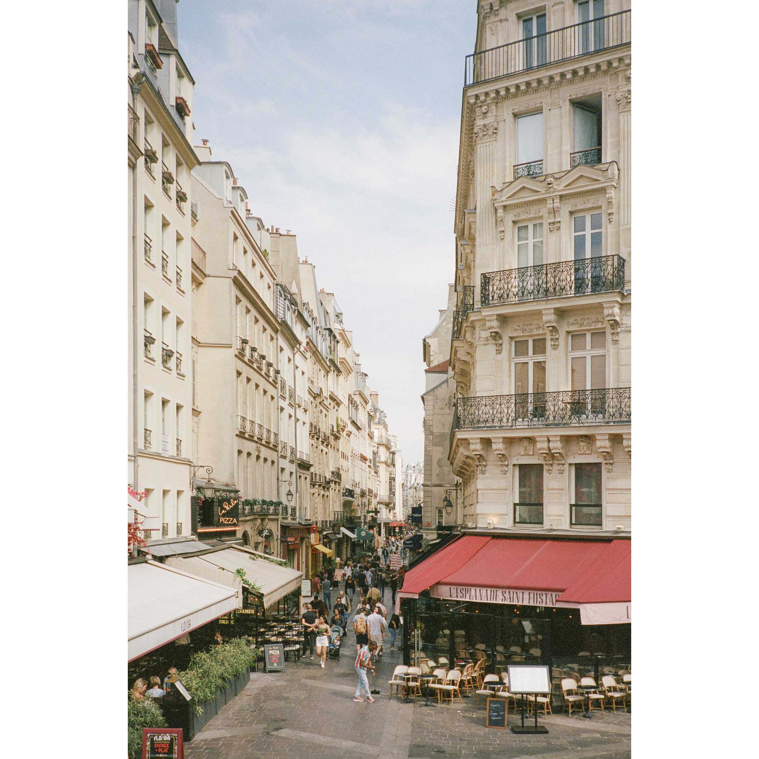 Street Serenade - Paris, France