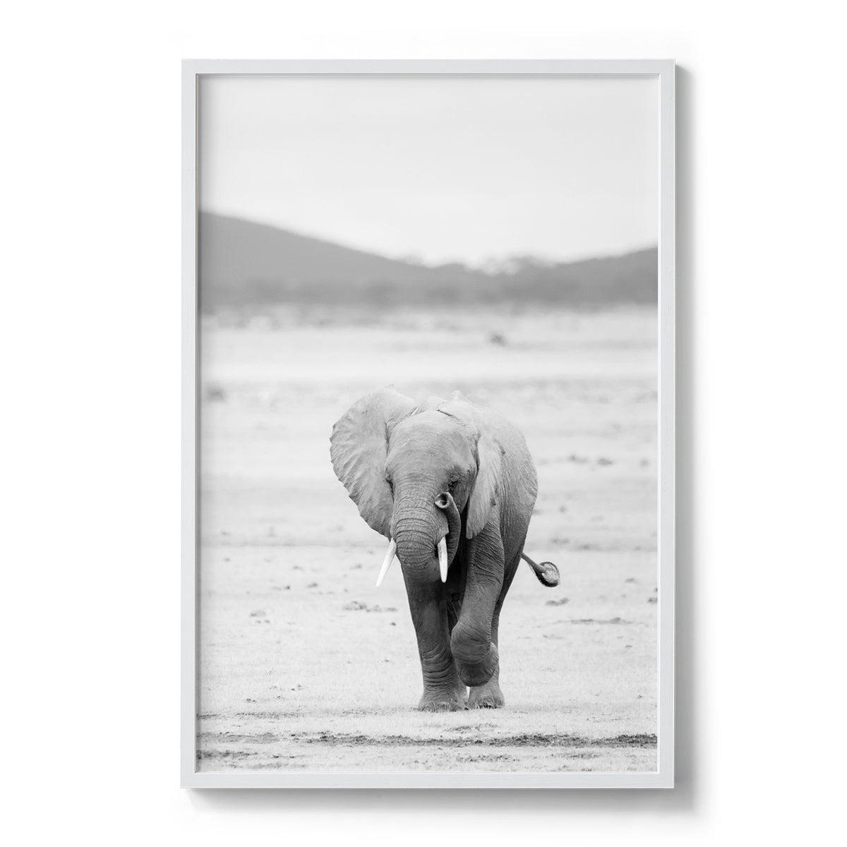 #colour_white
