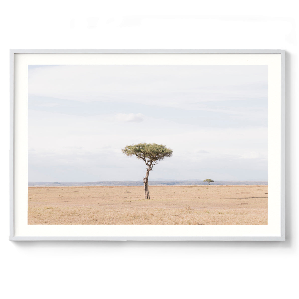 Umbrella - Kenya, Africa
