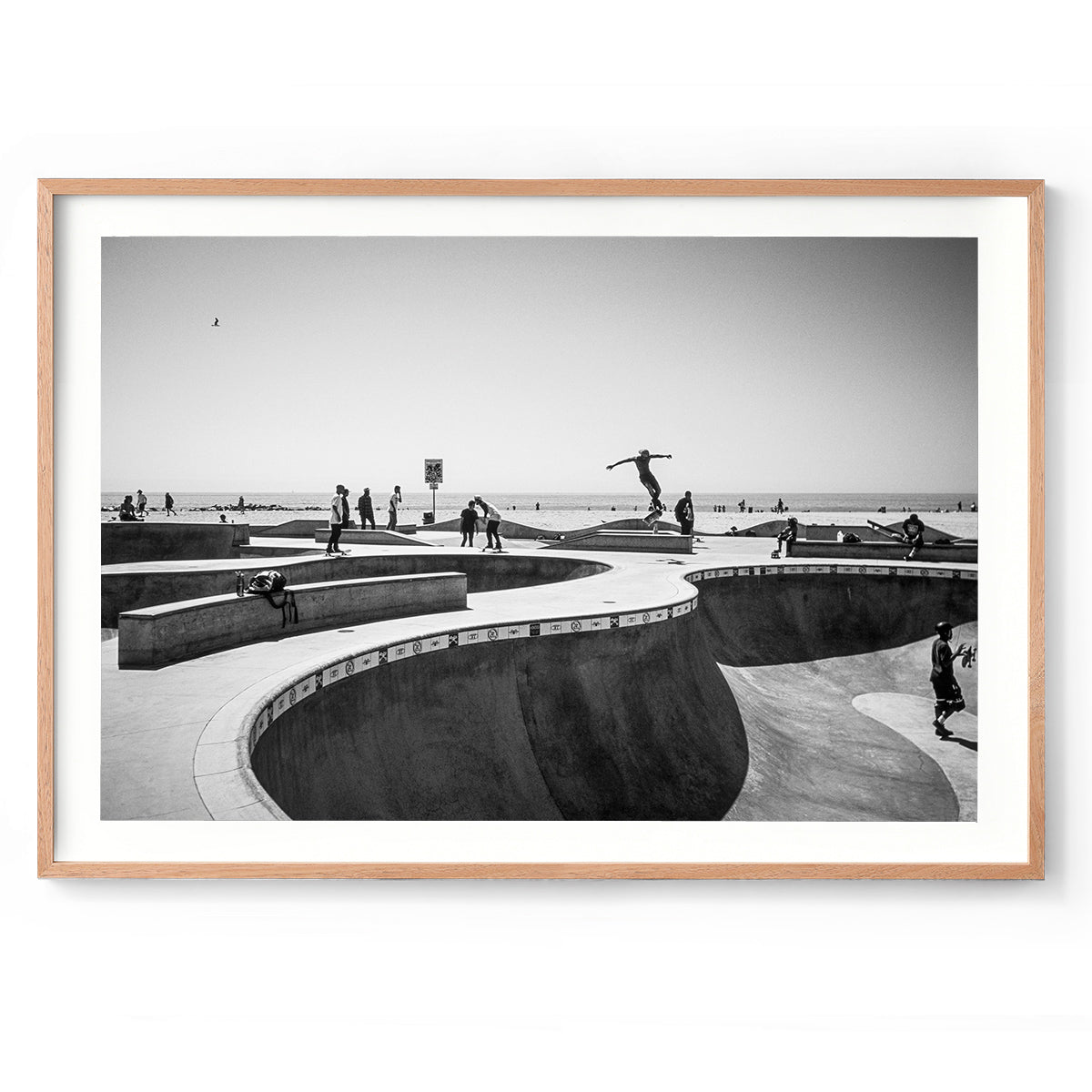 Venice Skatepark - Los Angeles, USA