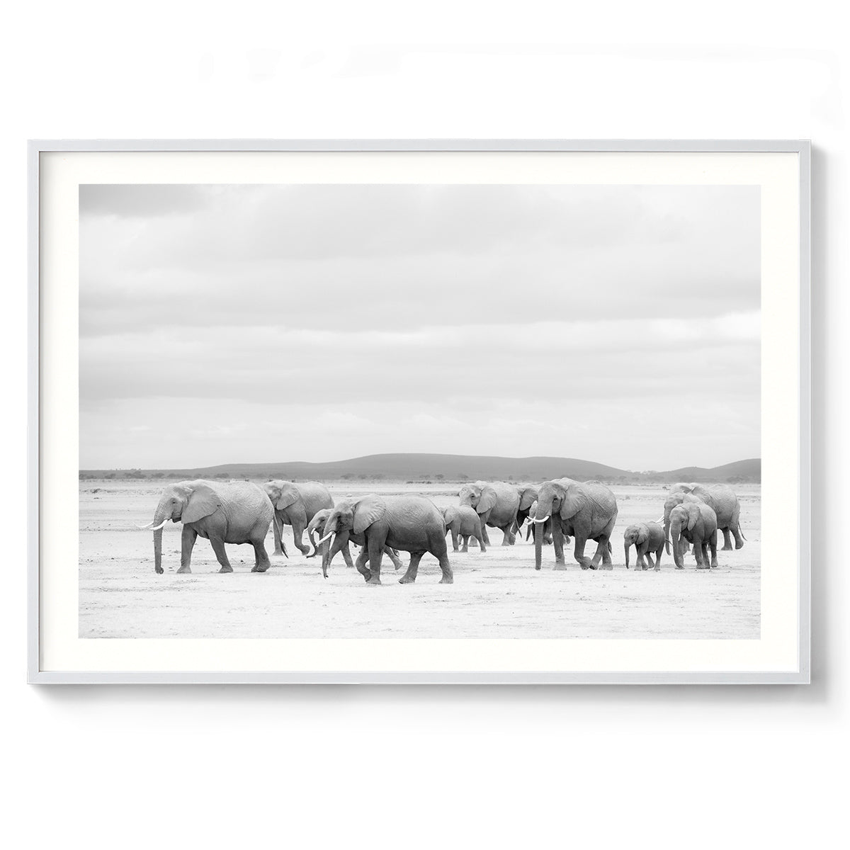 Wrinkles - Kenya, Africa