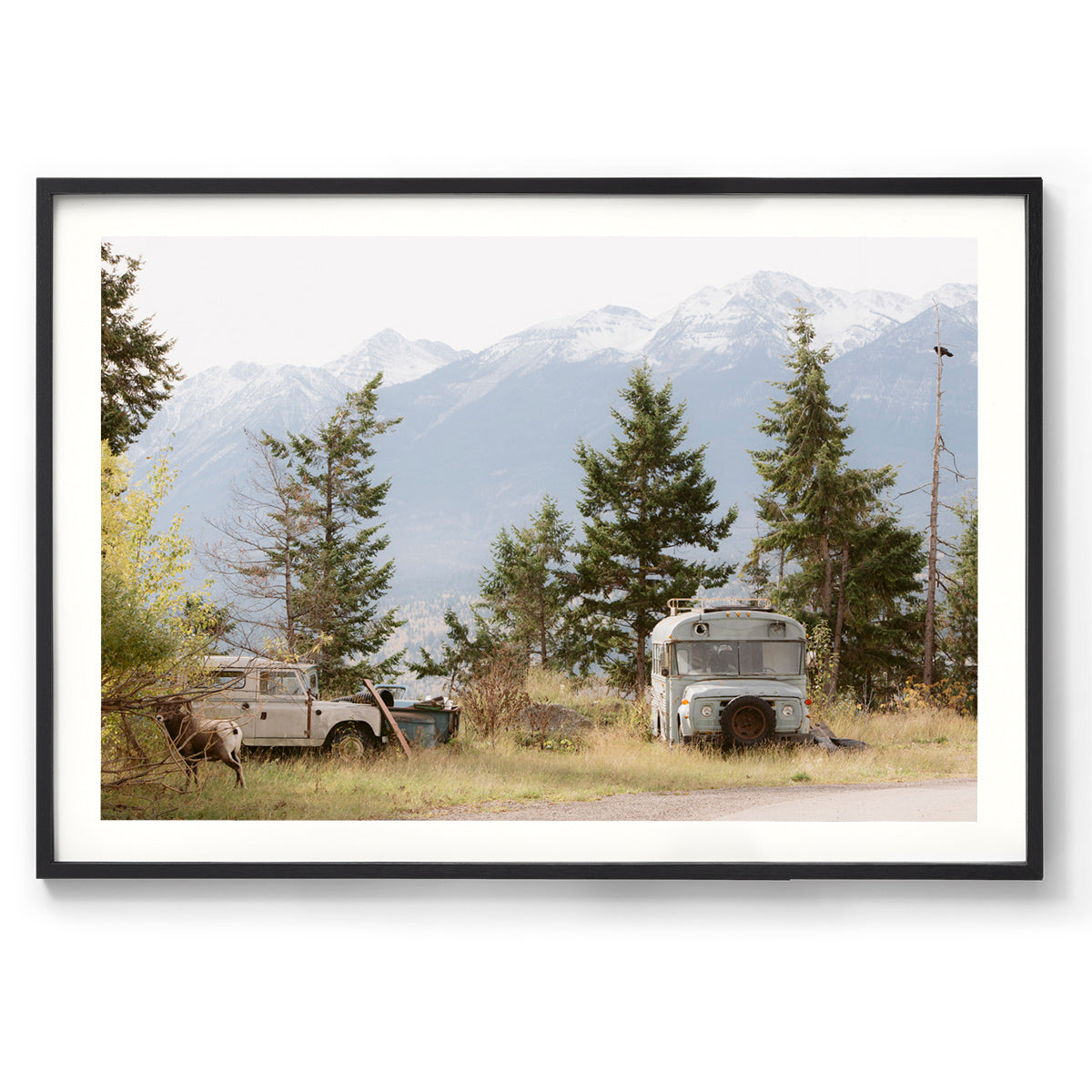 Pause - Rocky Mountains, Canada