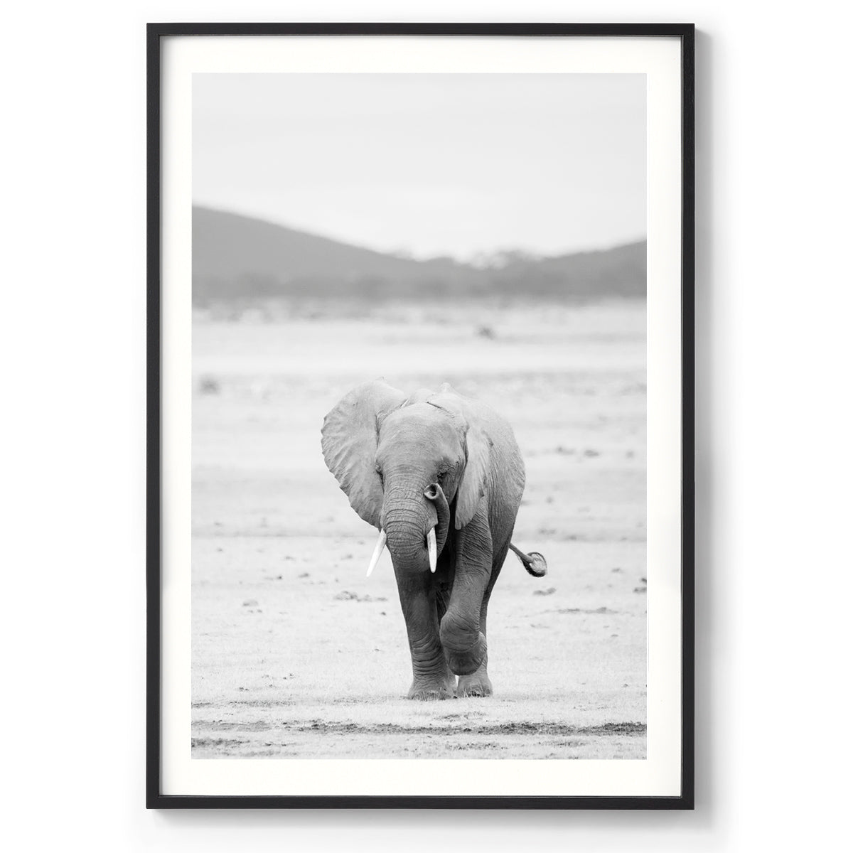 Trunk & Tusk - Kenya, Africa