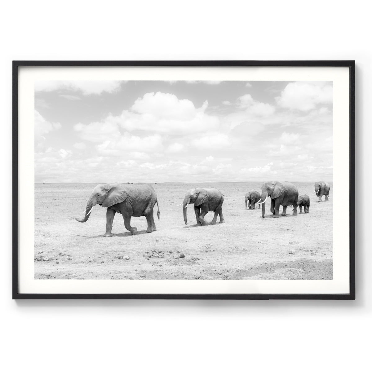 Pilgrimage - Kenya, Africa