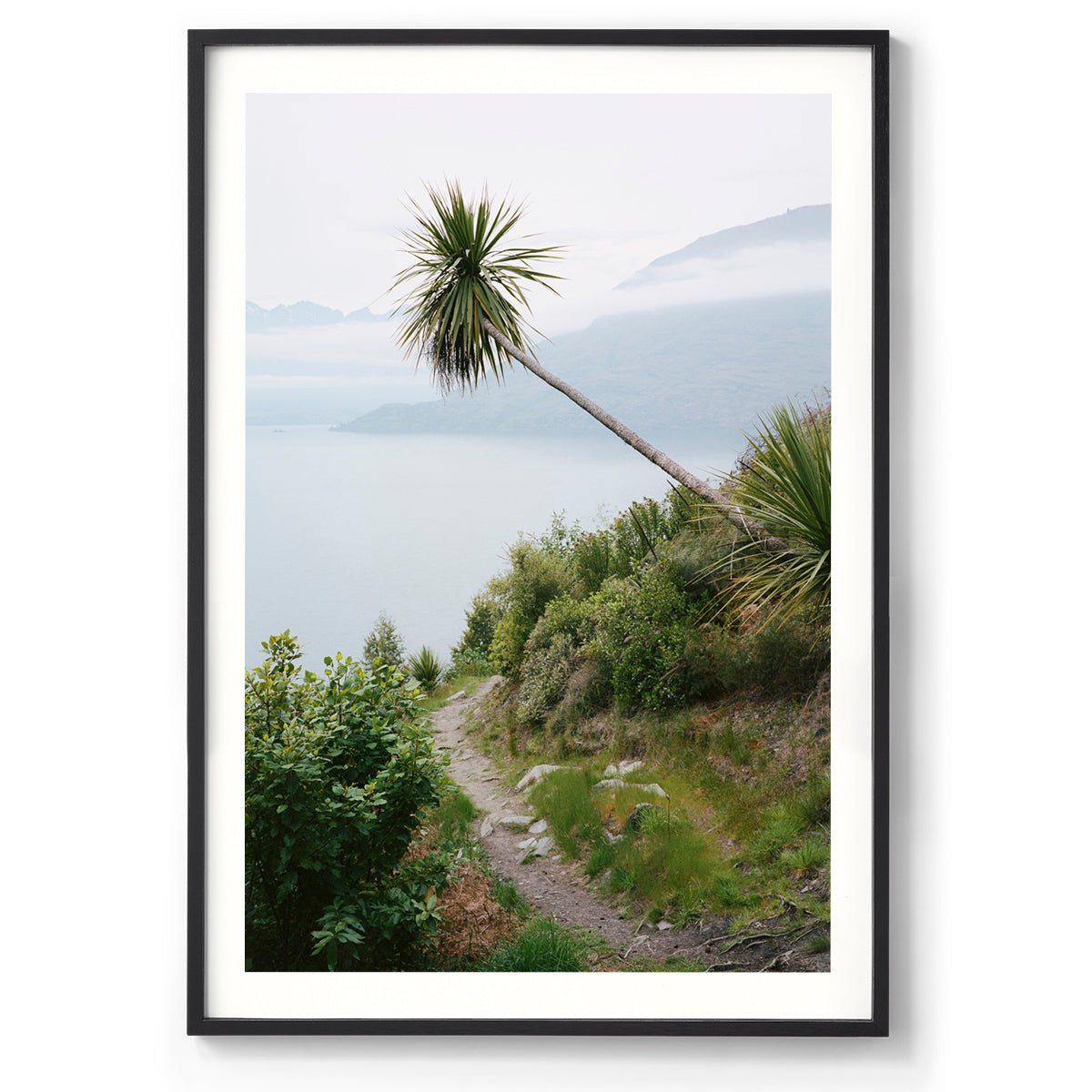 Solitude - New Zealand