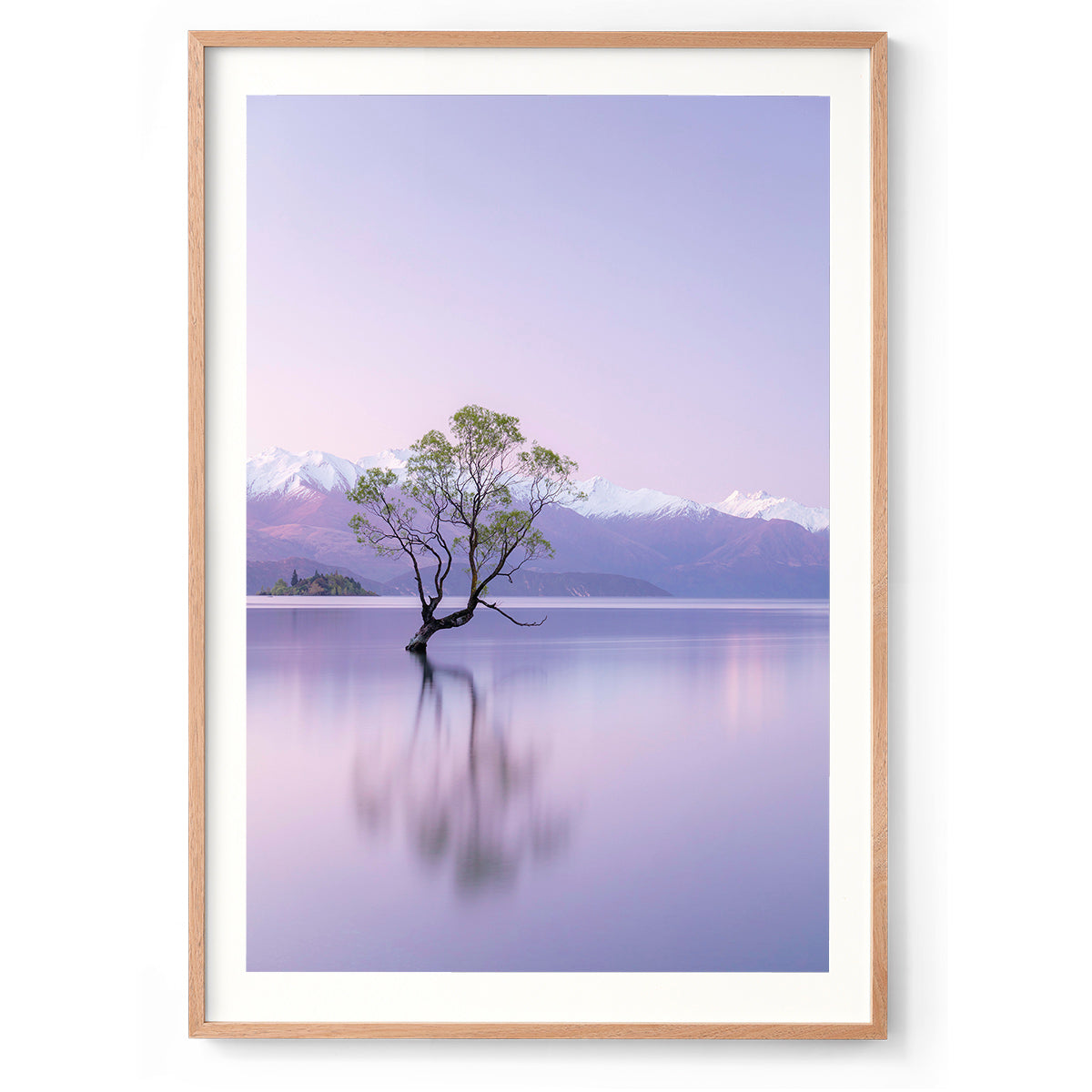 That Wanaka Tree - Wanaka, New Zealand
