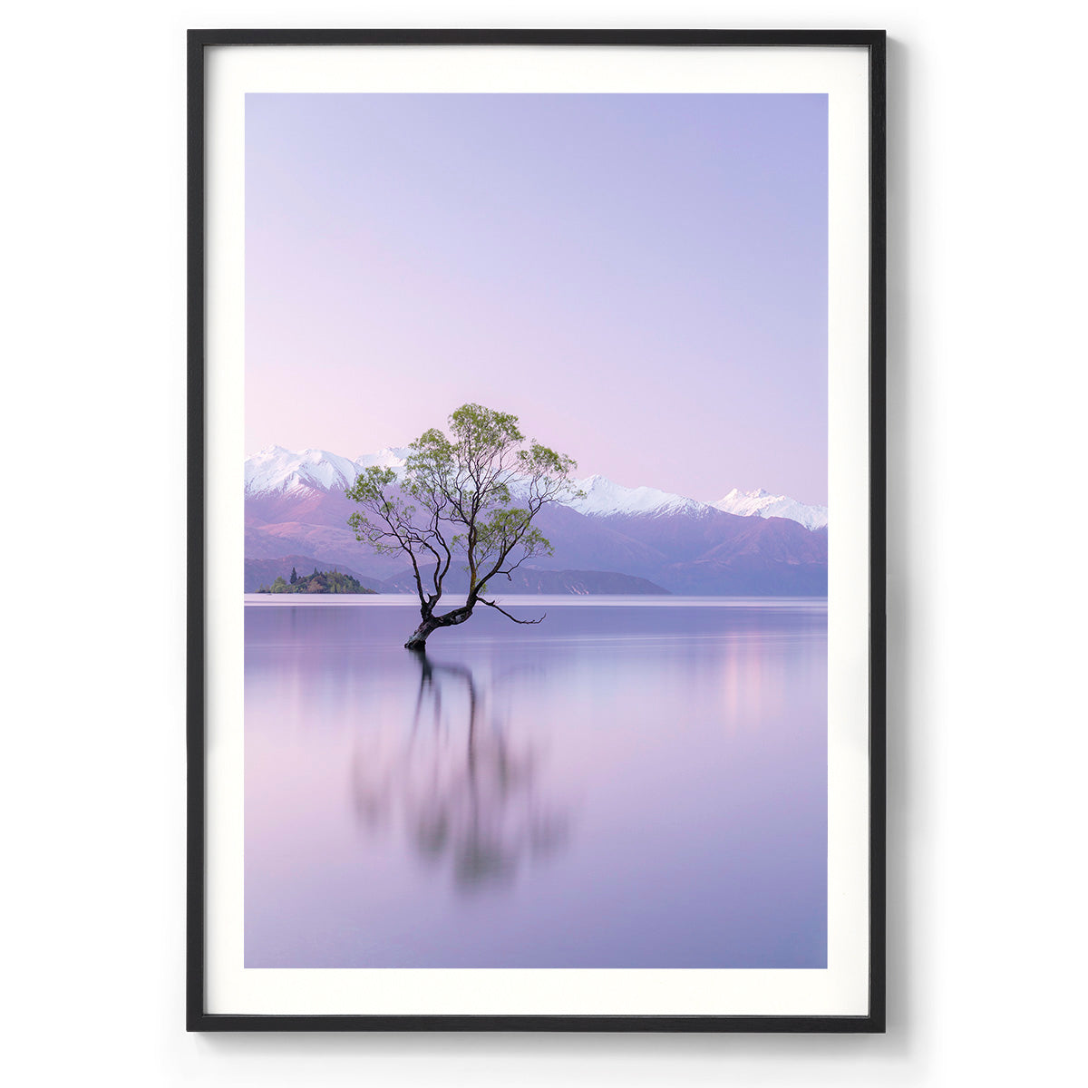 That Wanaka Tree - Wanaka, New Zealand