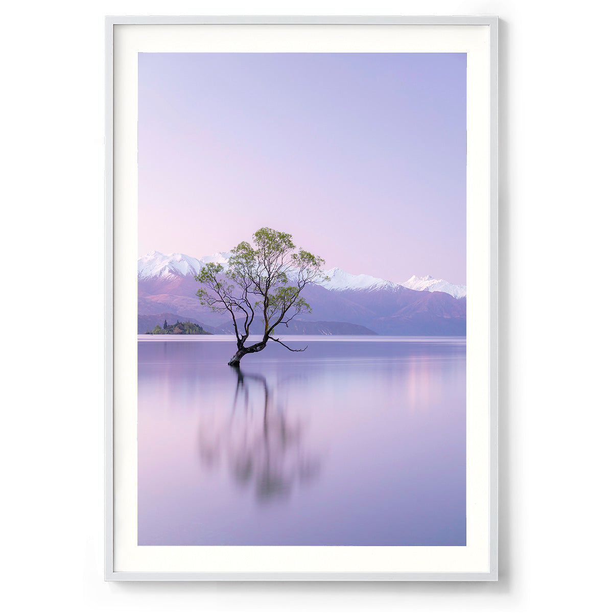 That Wanaka Tree - Wanaka, New Zealand