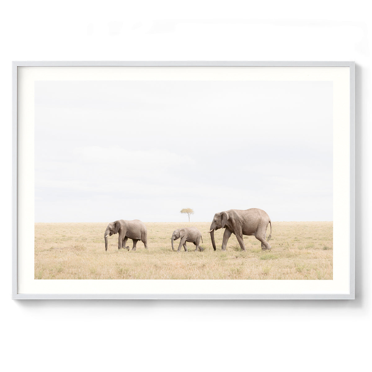 Family Ties - Kenya, Africa