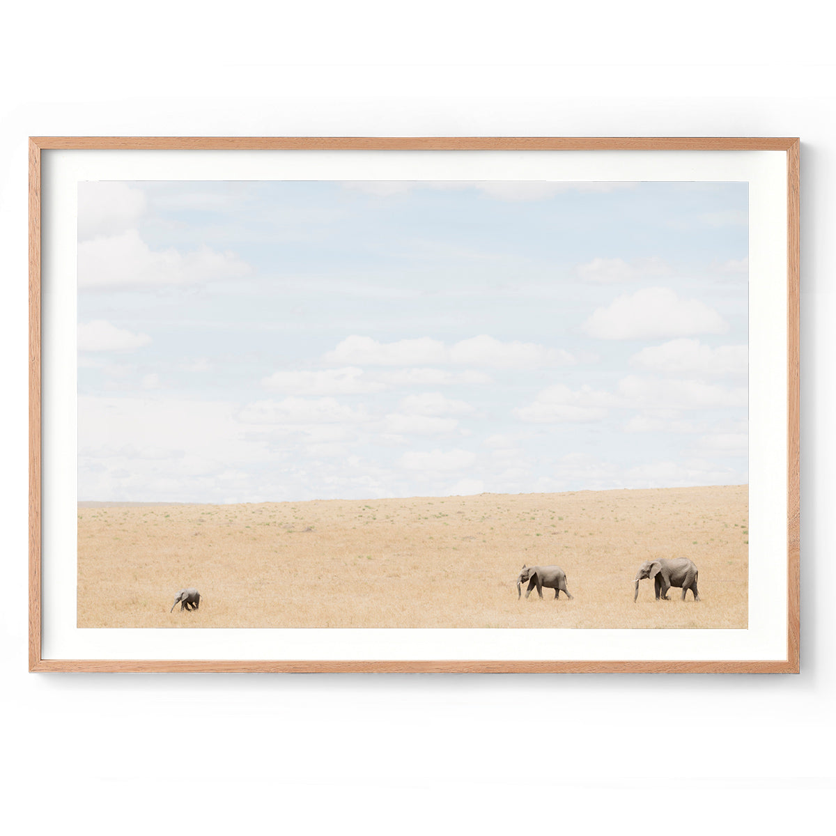 Follow the Leader - Kenya, Africa