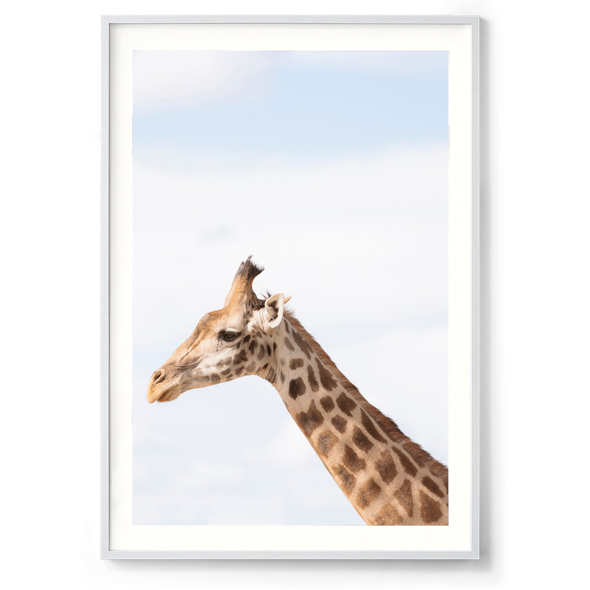Head in the Clouds - Kenya, Africa
