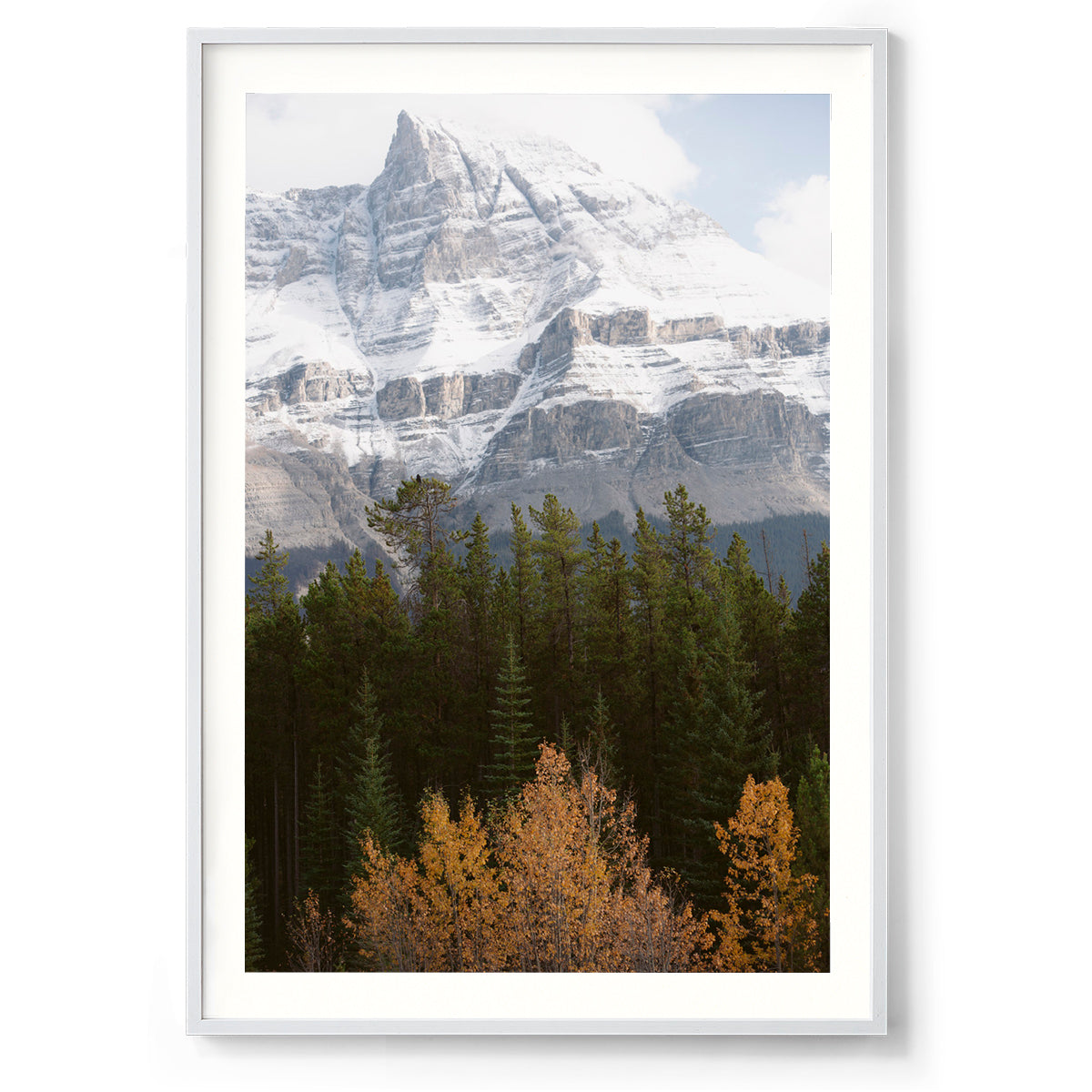 Nature's Palette - Rocky Mountains, Canada