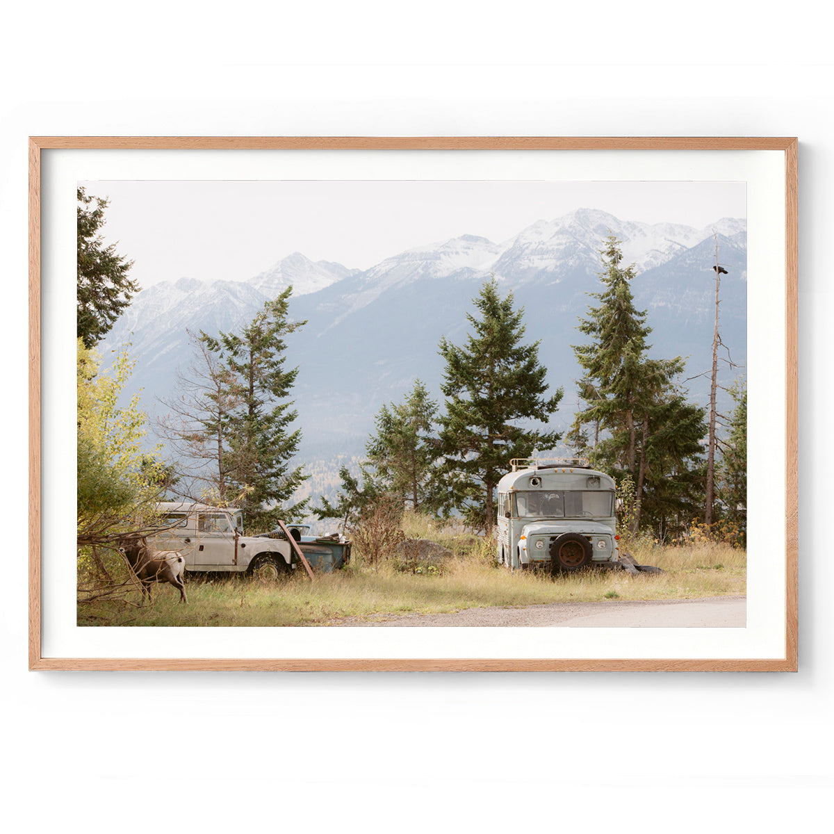 Pause - Rocky Mountains, Canada