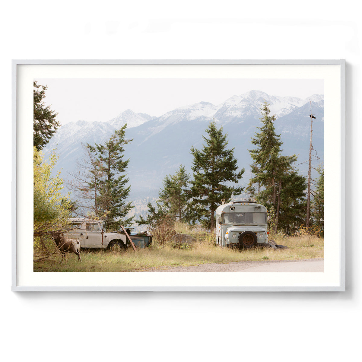 Pause - Rocky Mountains, Canada