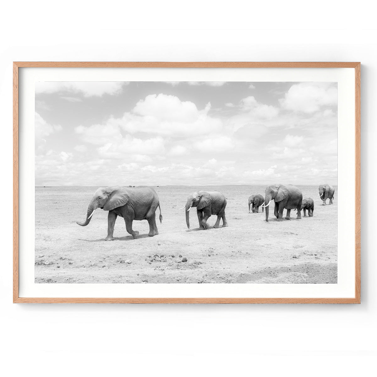 Pilgrimage - Kenya, Africa